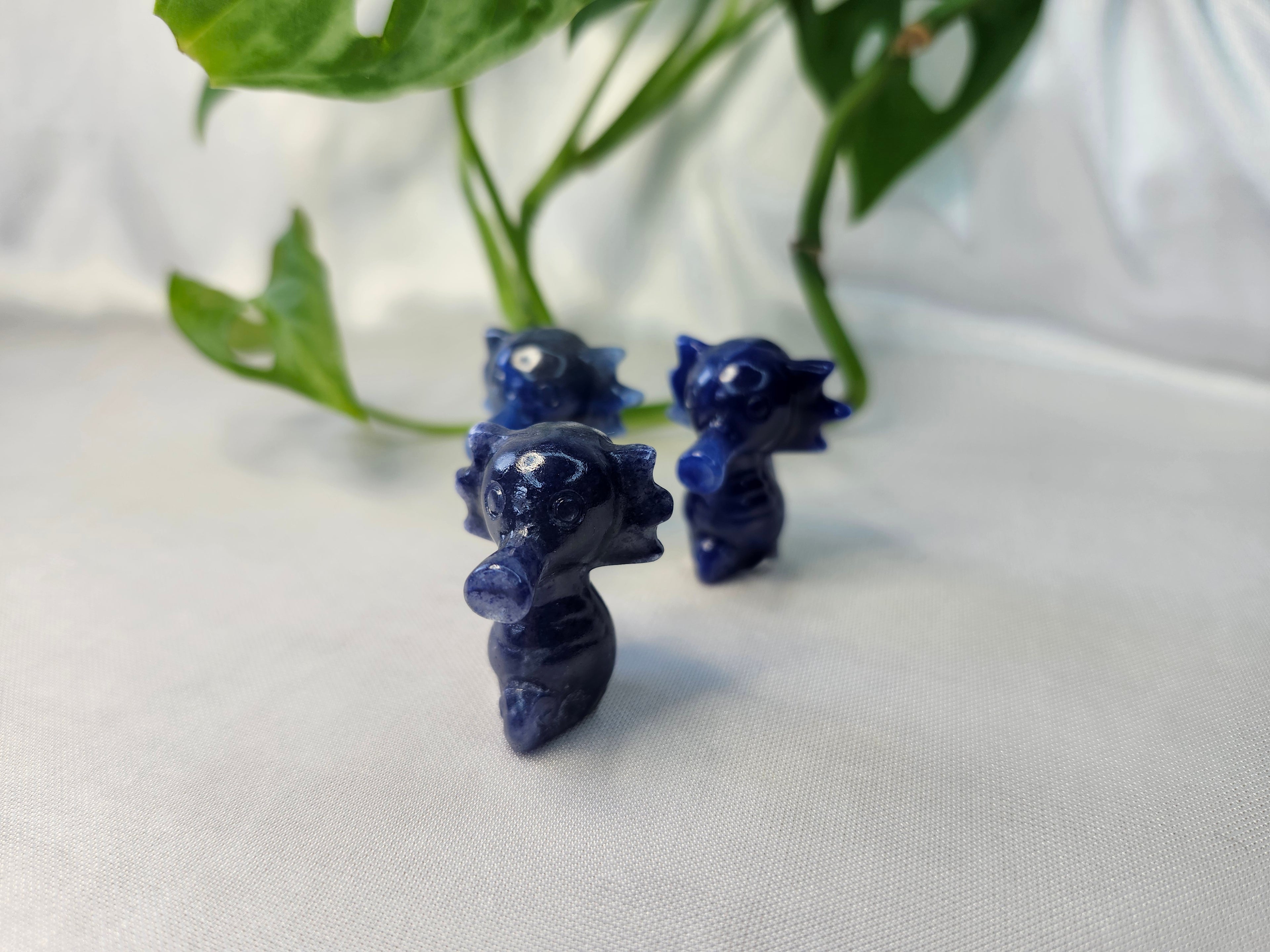 BLUE AVENTURINE HORSEA