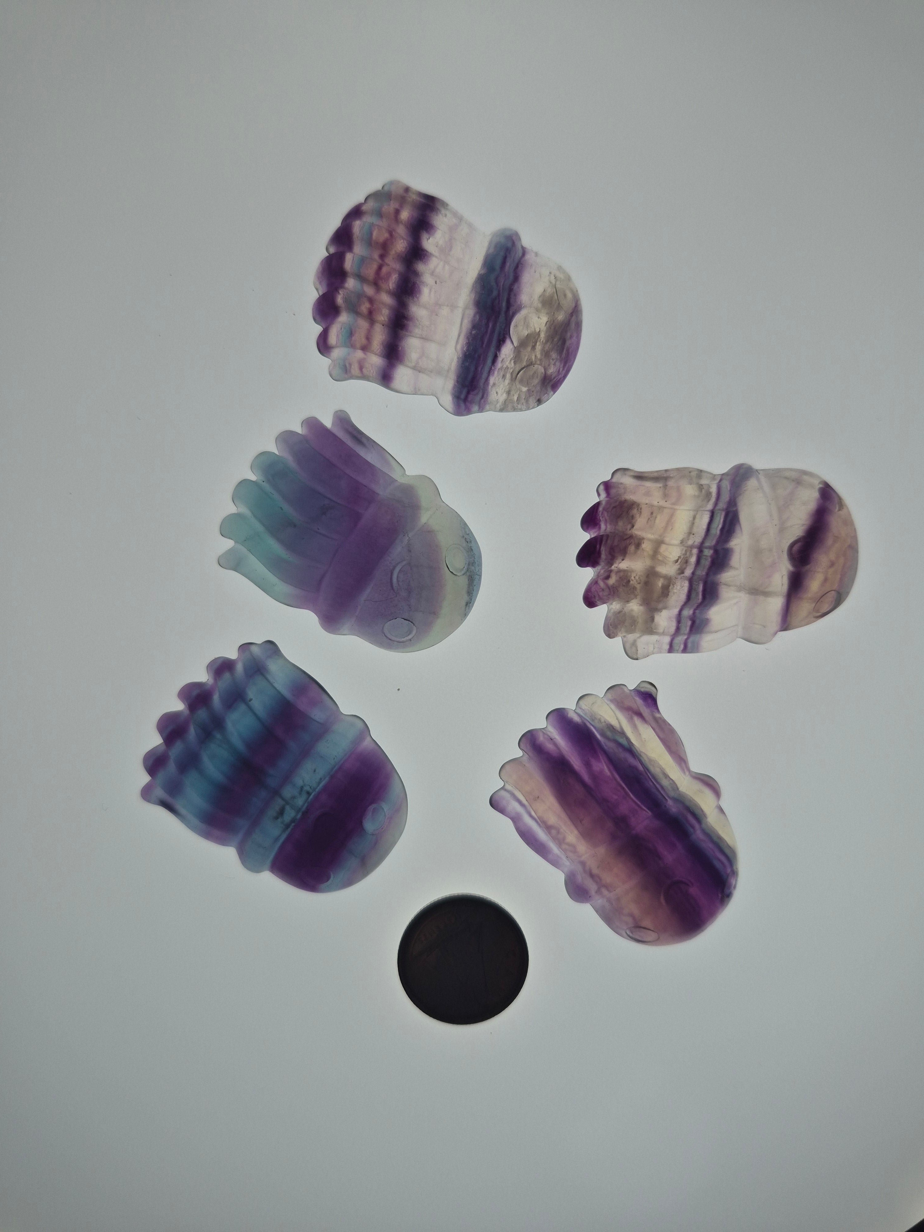 FLUORITE JELLYFISH