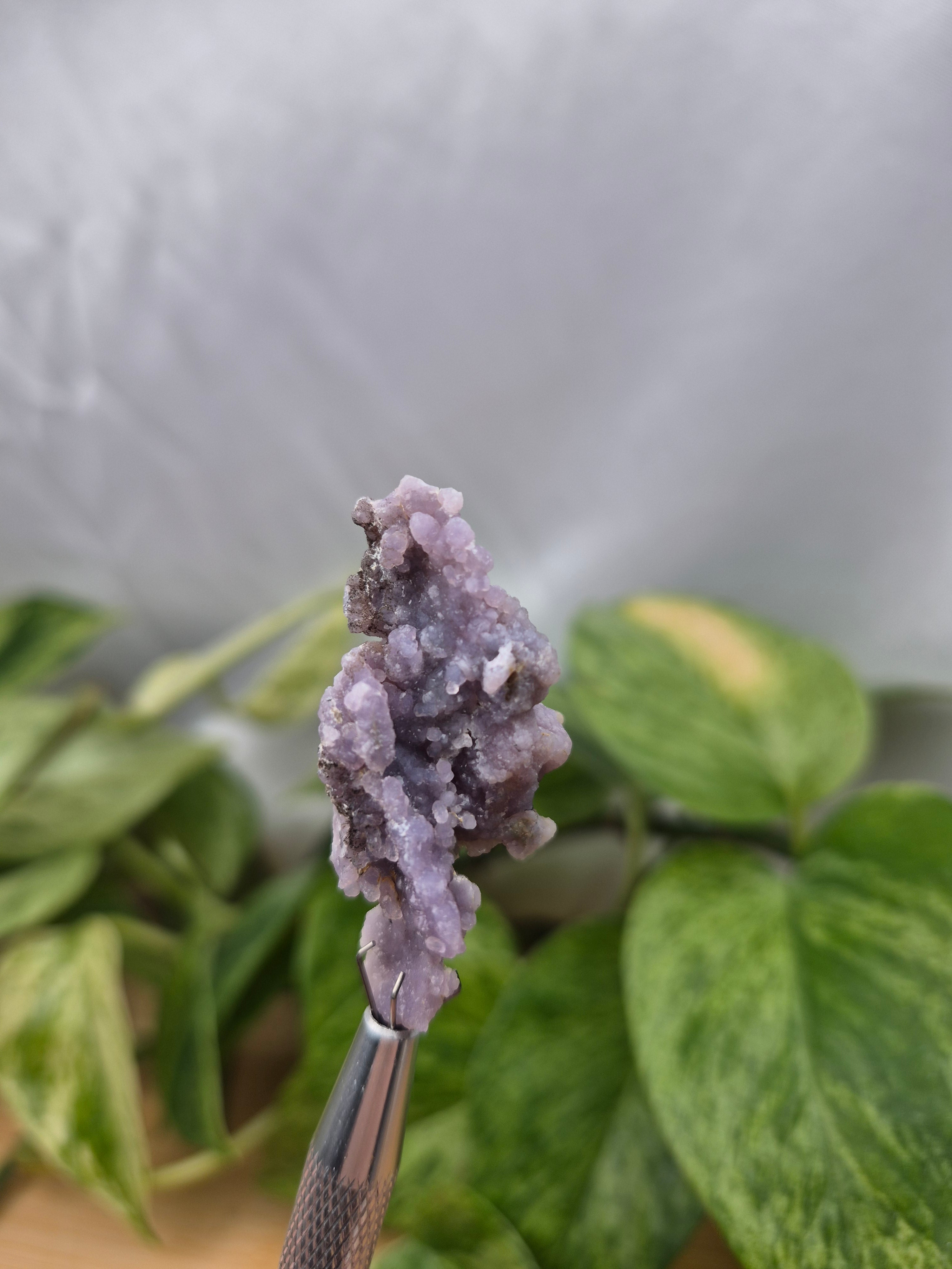 GRAPE AGATE ROUGH CHUNK 12g