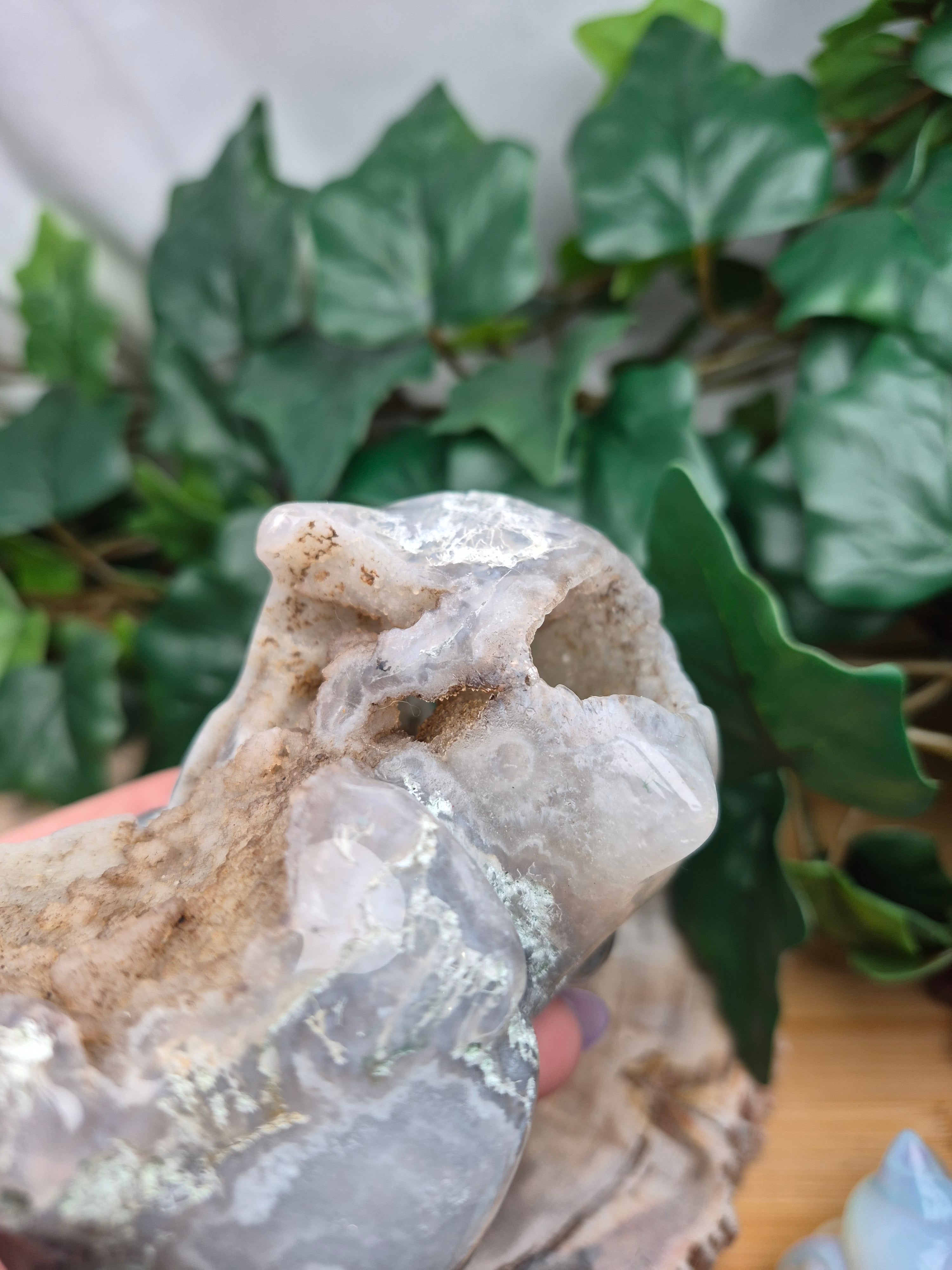 MOSS AGATE BULBASAUR
