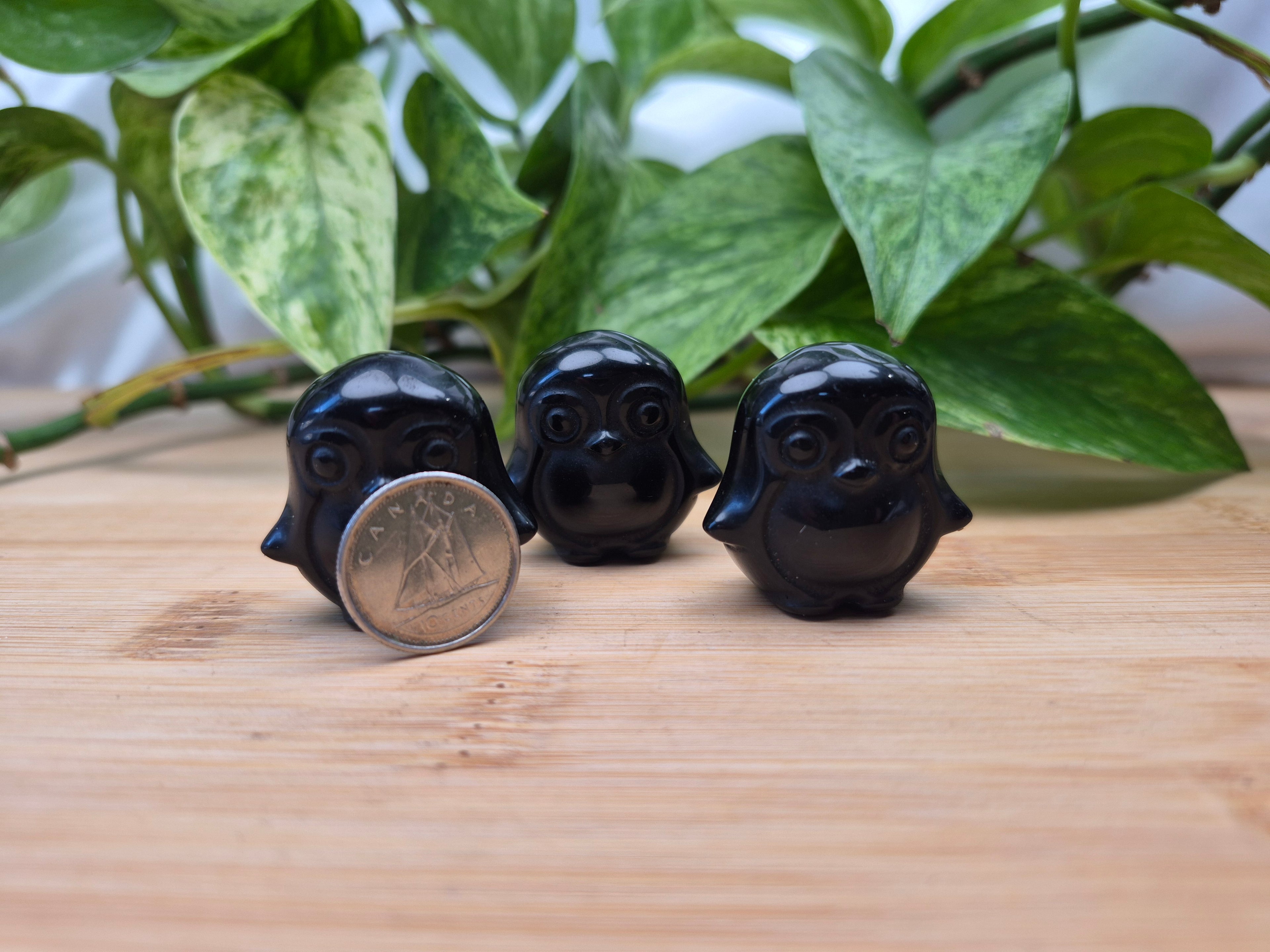 OBSIDIAN PENGUIN