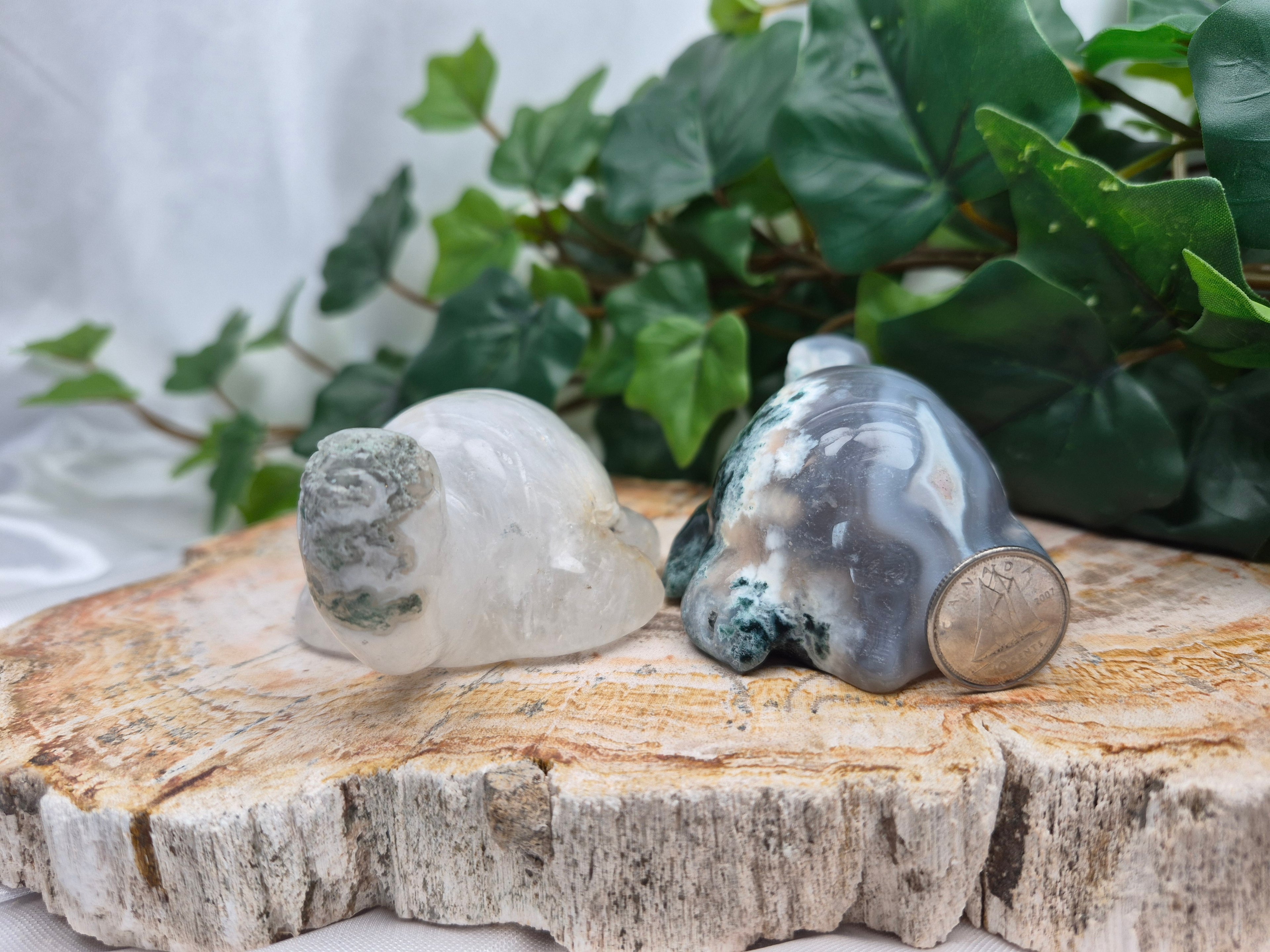 MOSS AGATE TURTLE