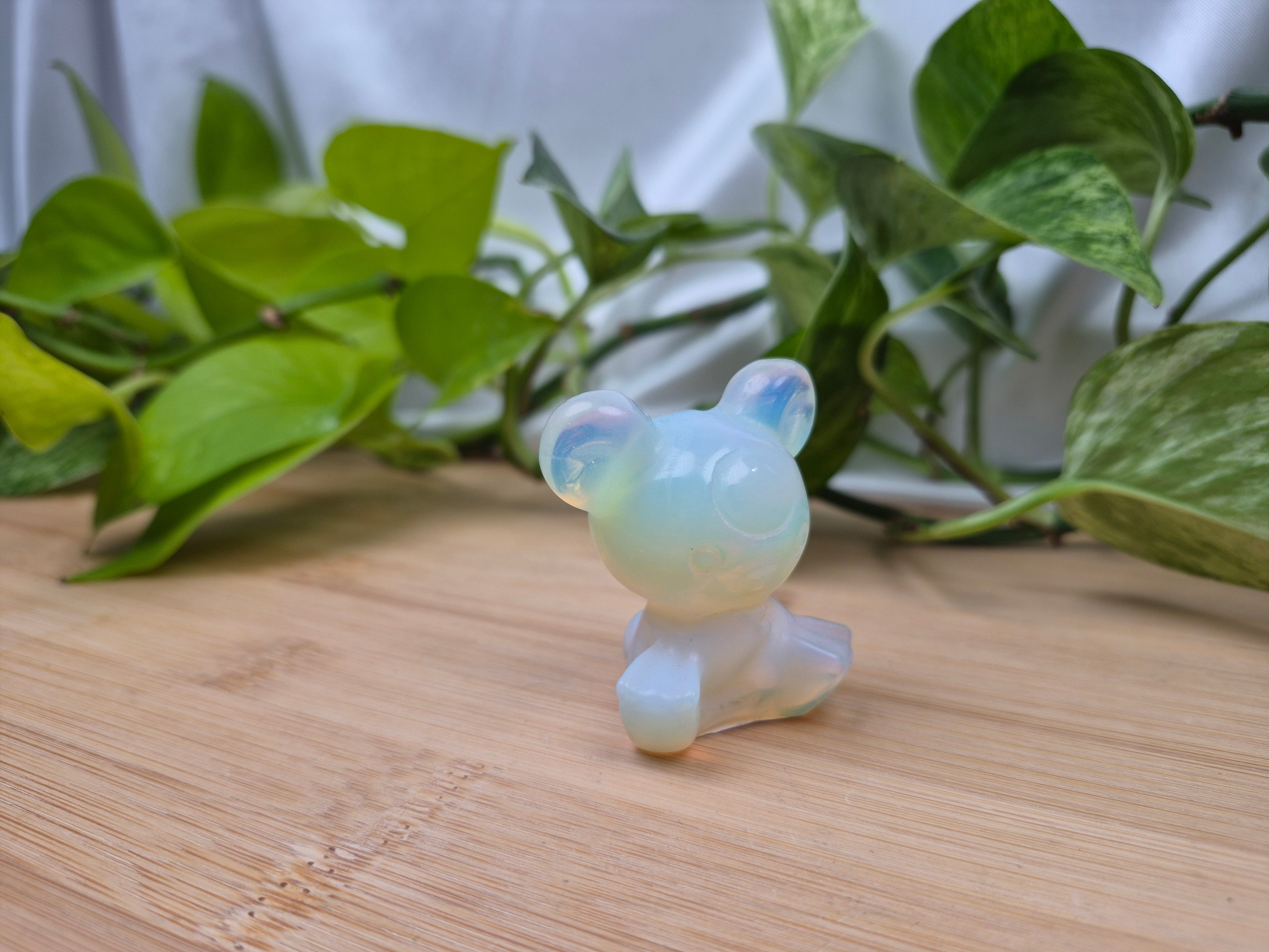 OPALITE TEDDIURSA