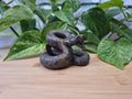 LEOPARDITE JASPER SNAKE