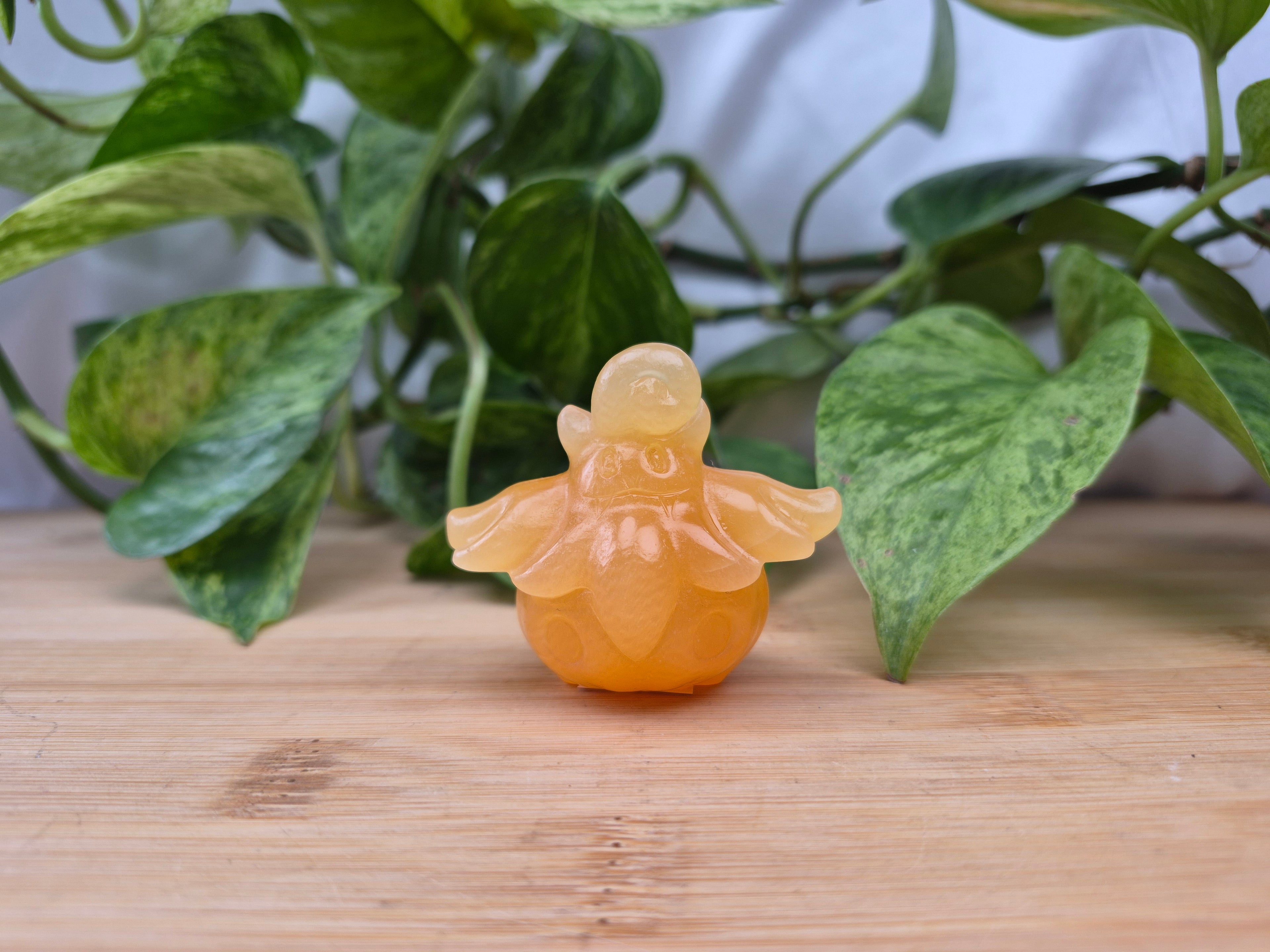 ORANGE CALCITE PUMPKABOO MD