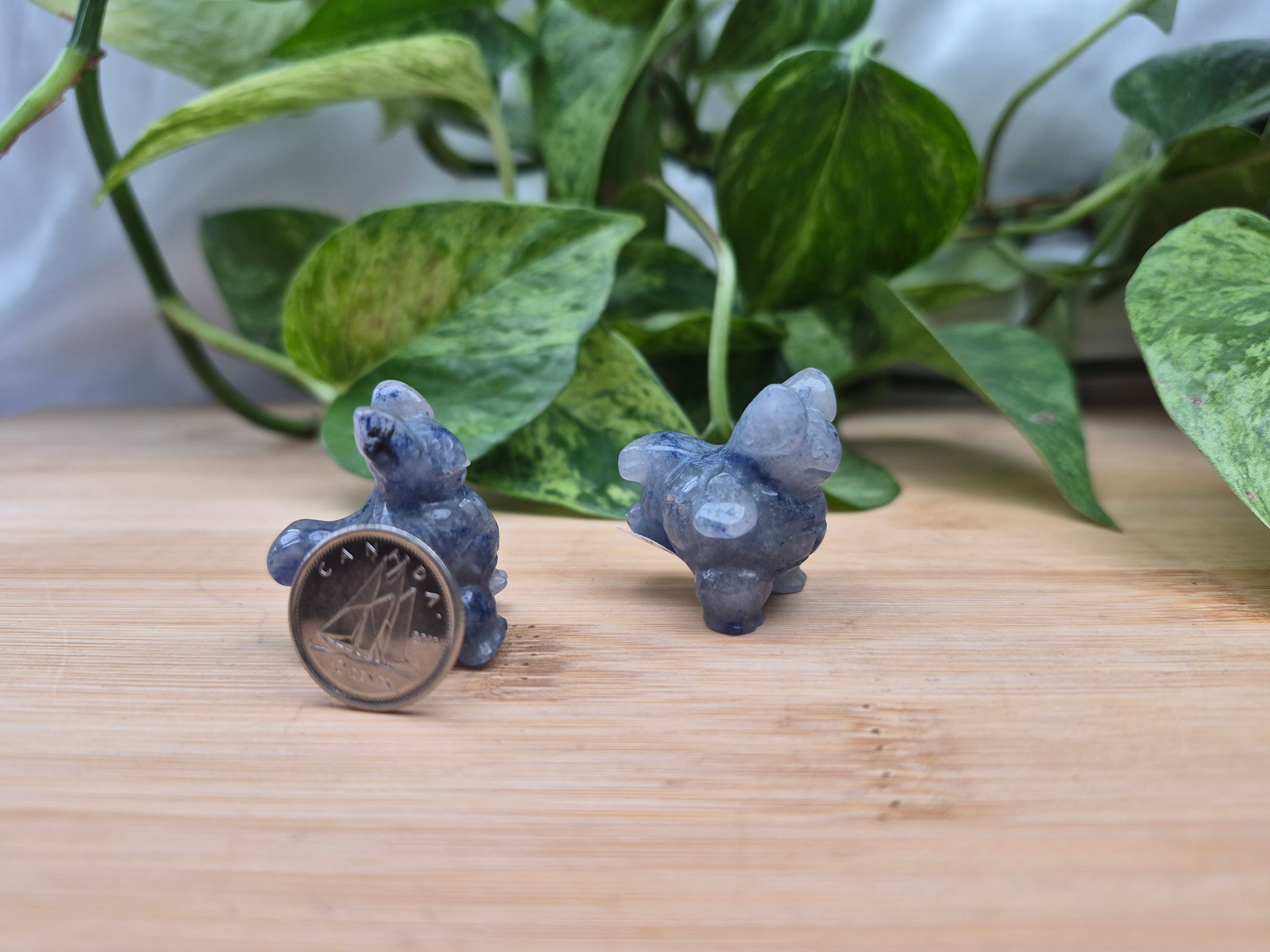 BLUE AVENTURINE WARTORTLE