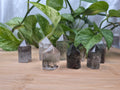 GARDEN QUARTZ TOWER 21g - 30g