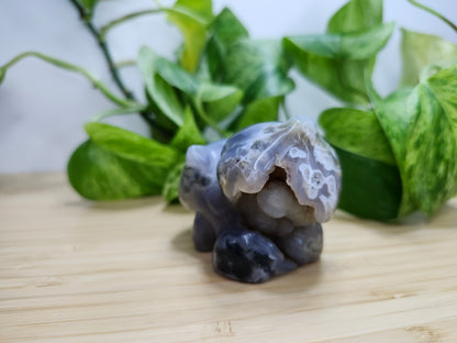 MOSS AGATE BULBASAUR LG