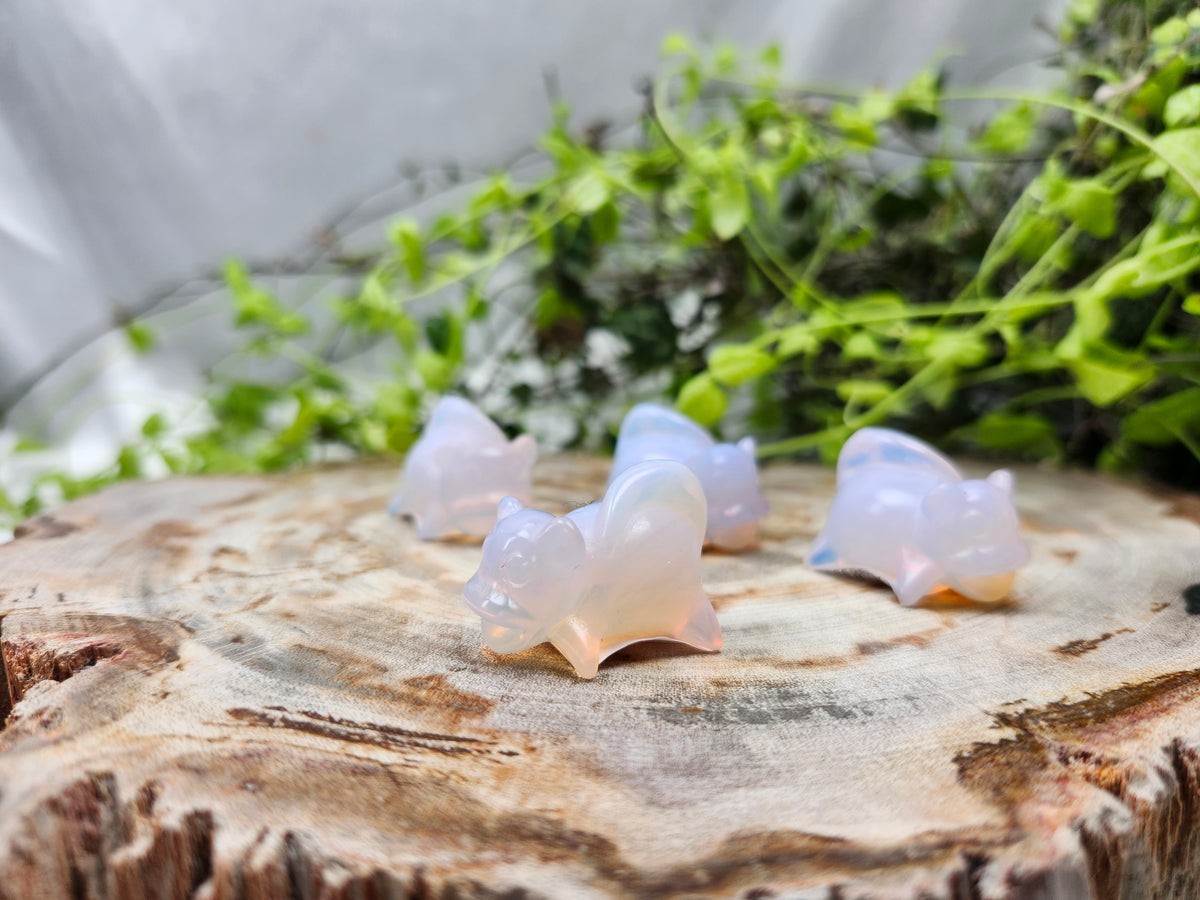 PINK OPALITE SLOWPOKE