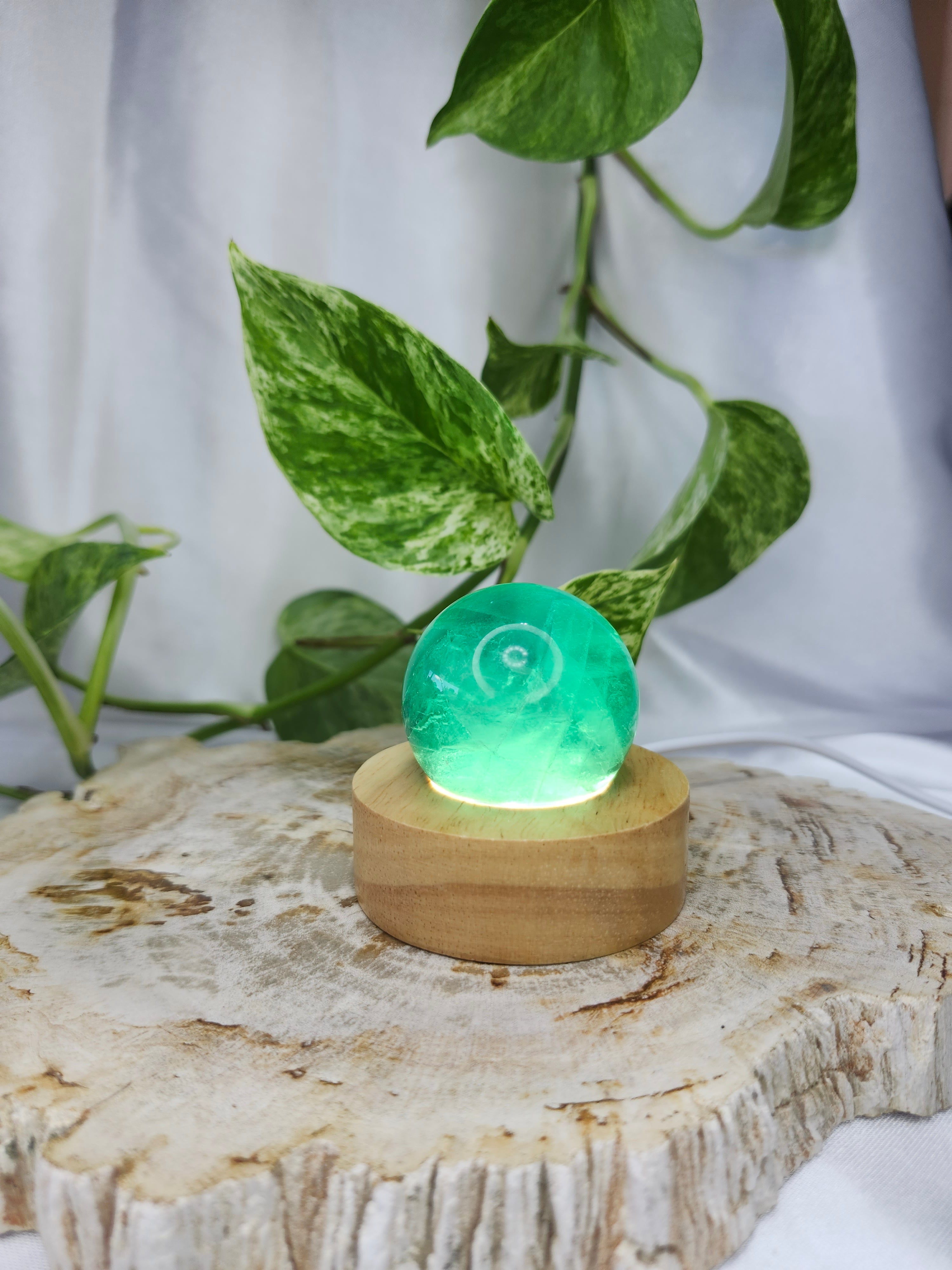 LIGHT BASE SMALL CIRCLE - WHITE