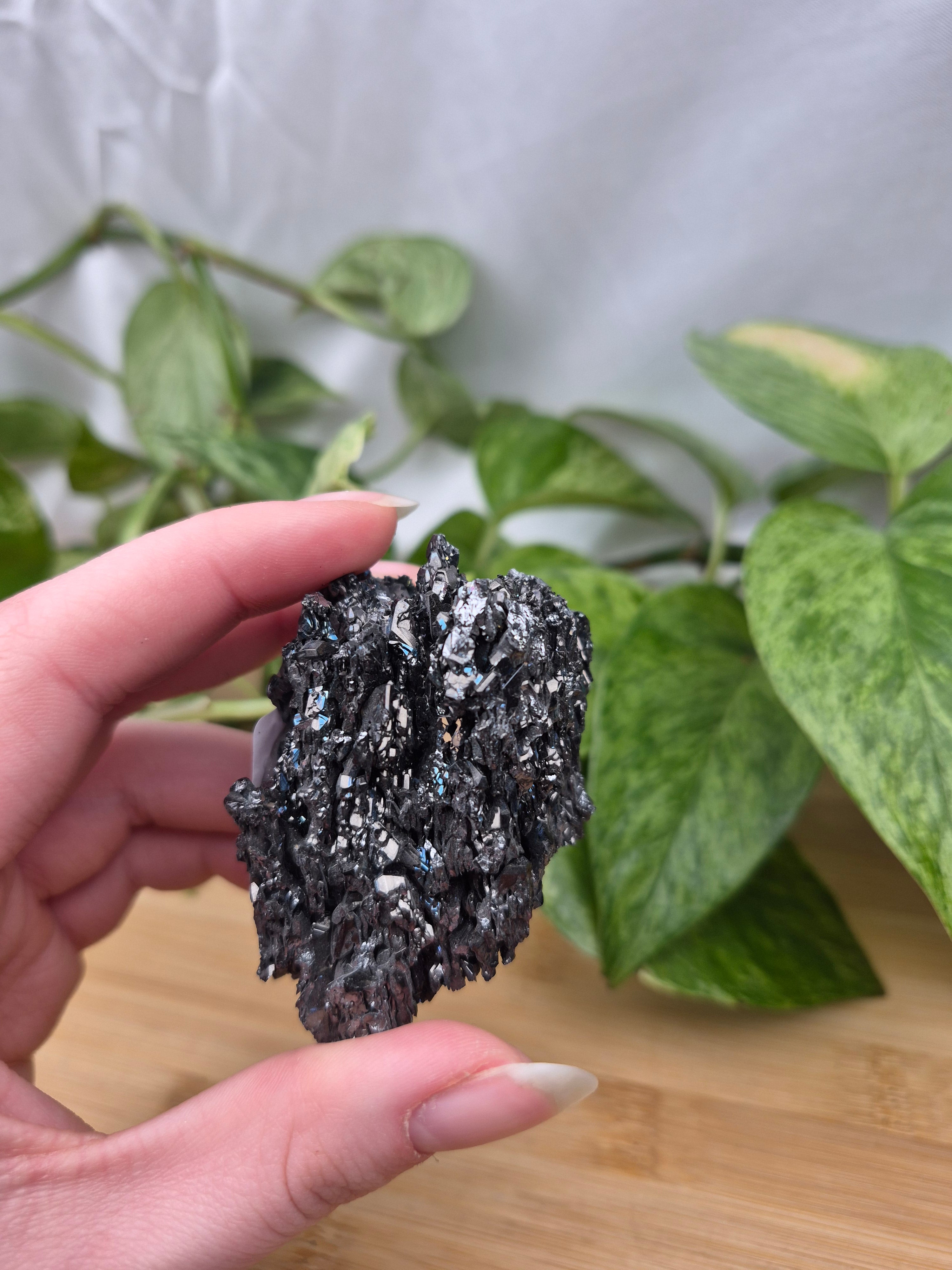 SILICON CARBIDE SPECIMEN