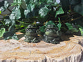 JADE SITTING FROG