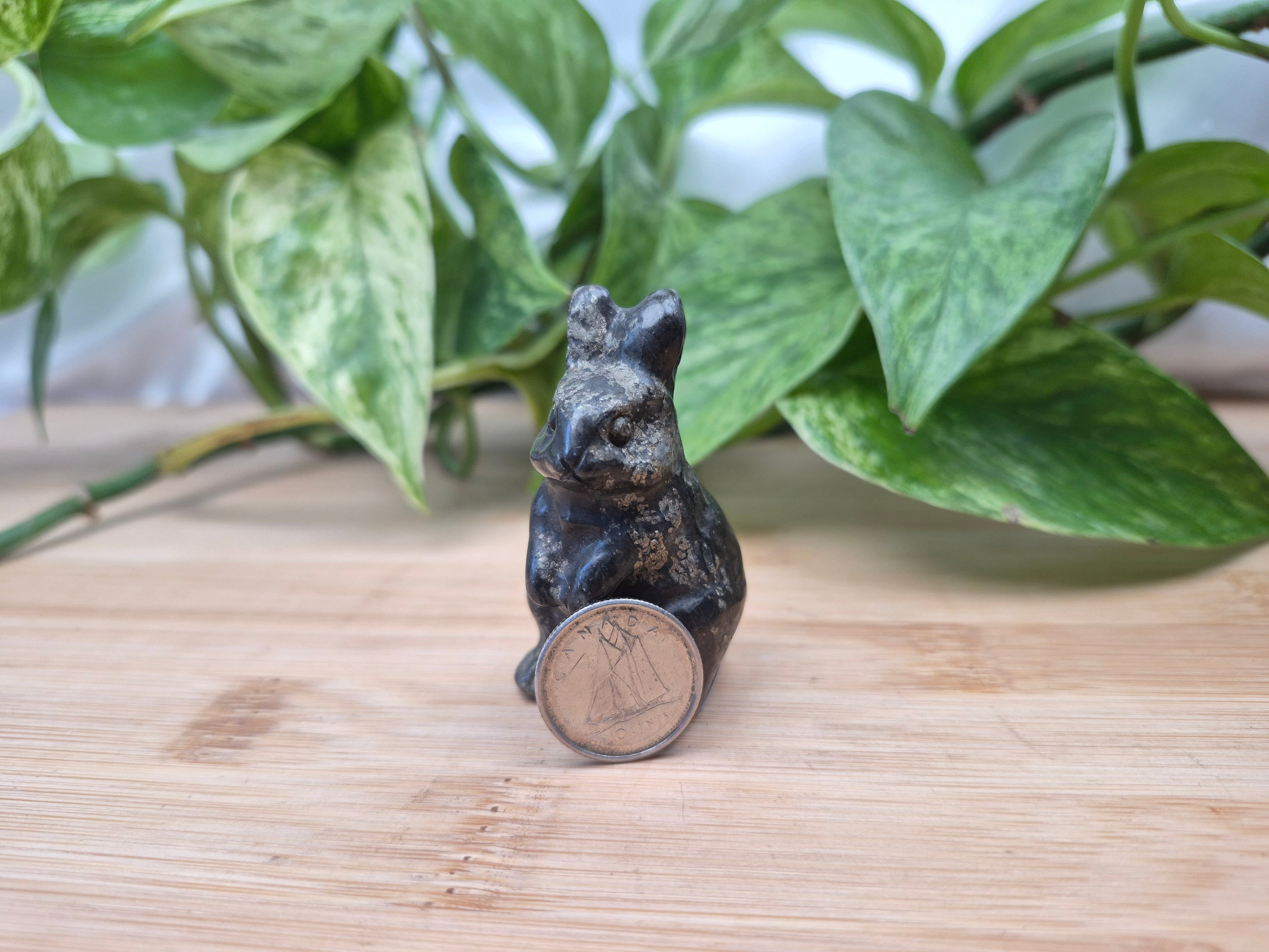 PYRITE RABBIT
