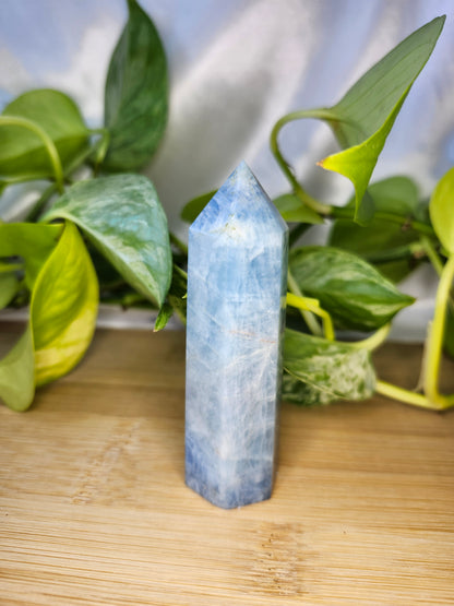 AQUAMARINE TOWER