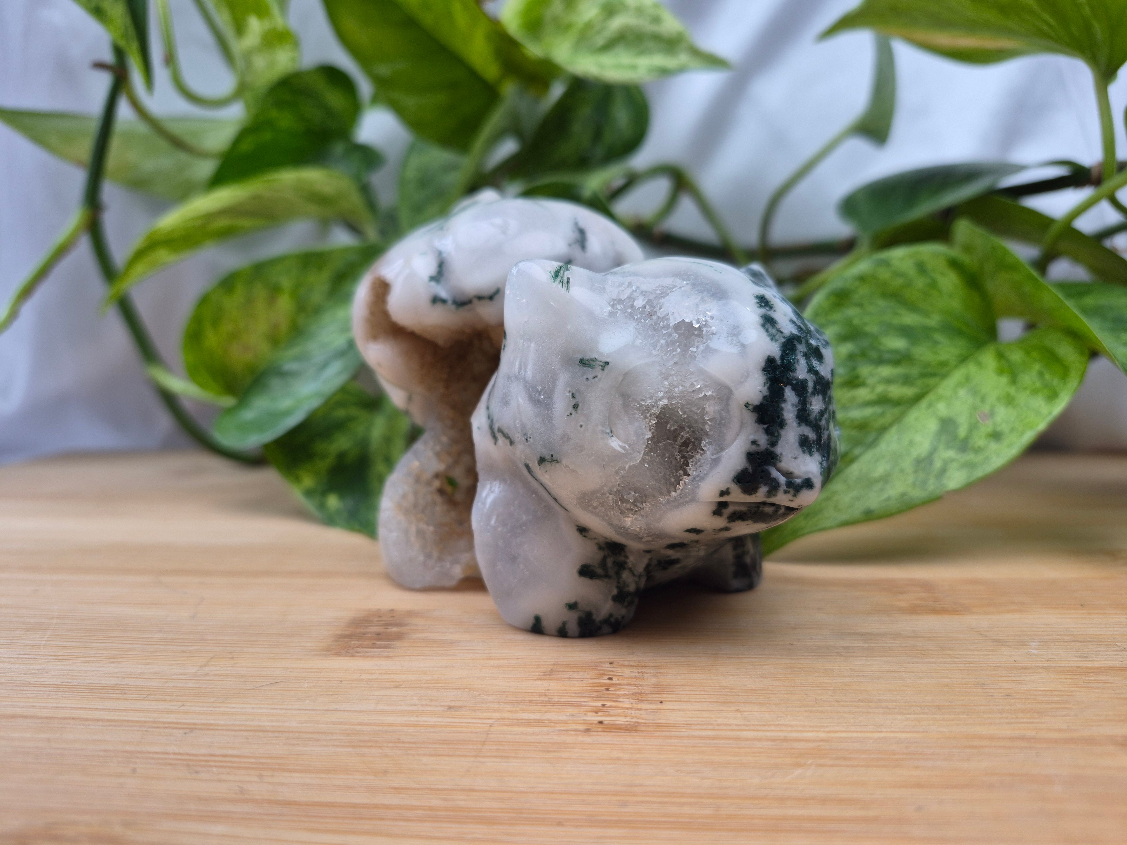 MOSS AGATE BULBASAUR XL