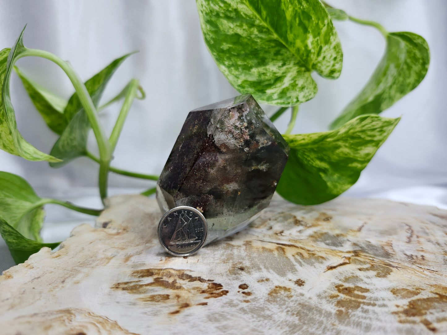GARDEN QUARTZ FREEFORM