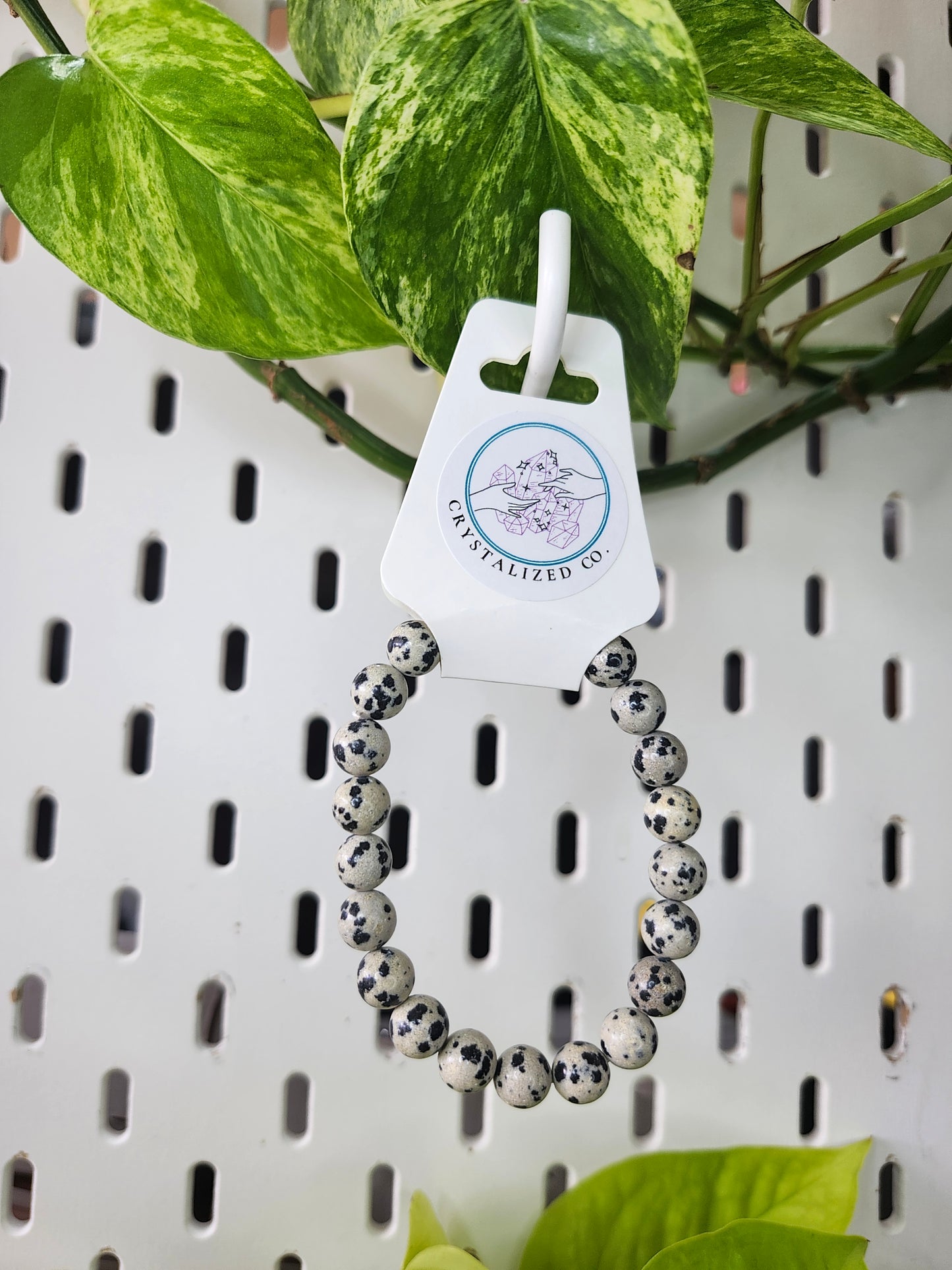 9mm DALMATION JASPER BRACELET
