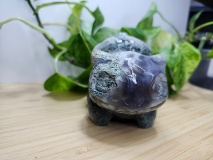 MOSS AGATE XL BULBASAUR (B)