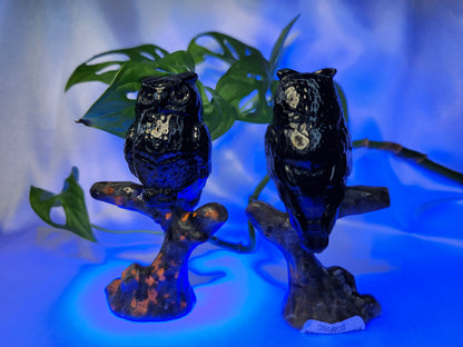 YOOPERLITE AND OBSIDIAN OWL