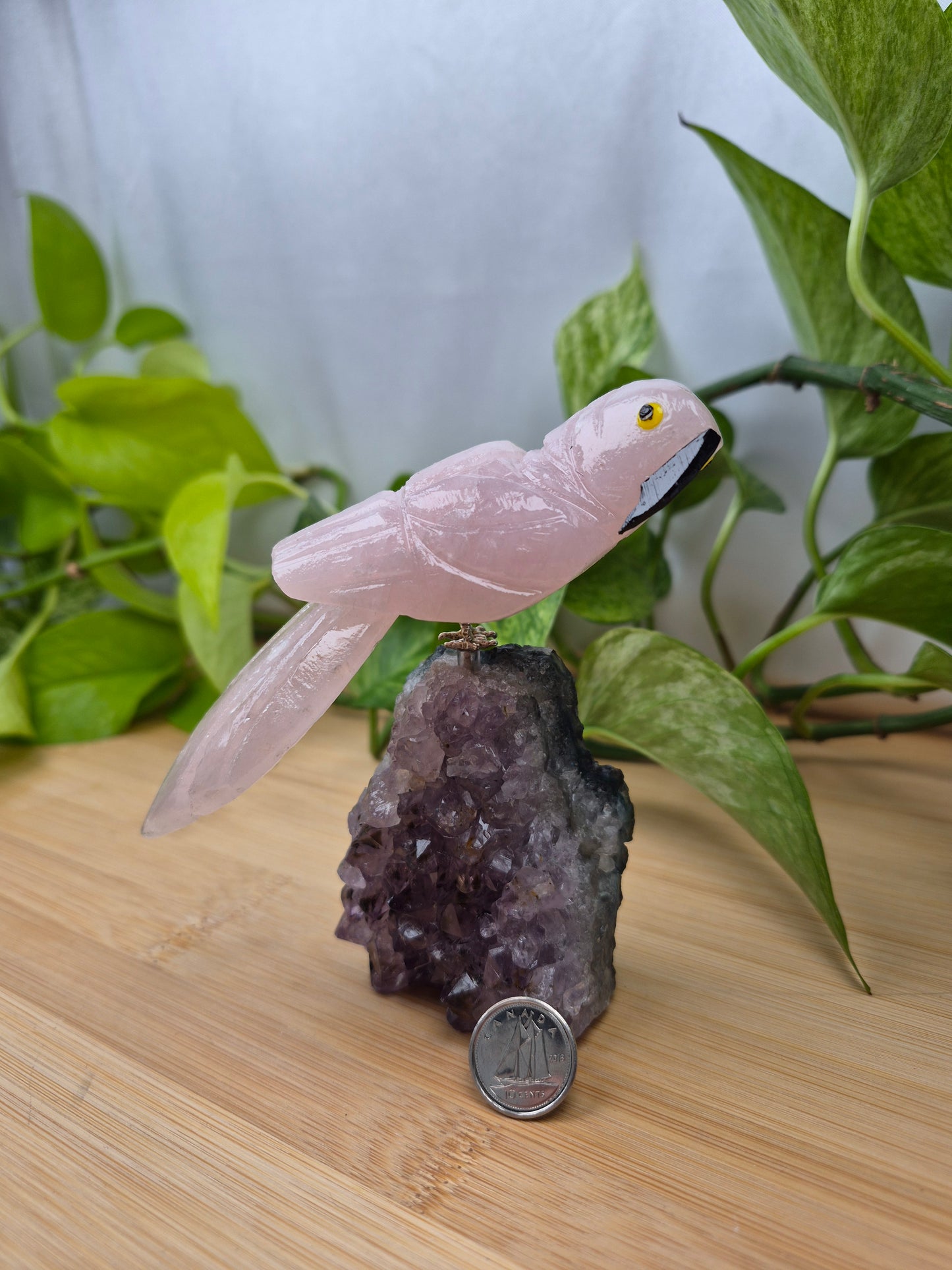 ROSE QUARTZ PARROT