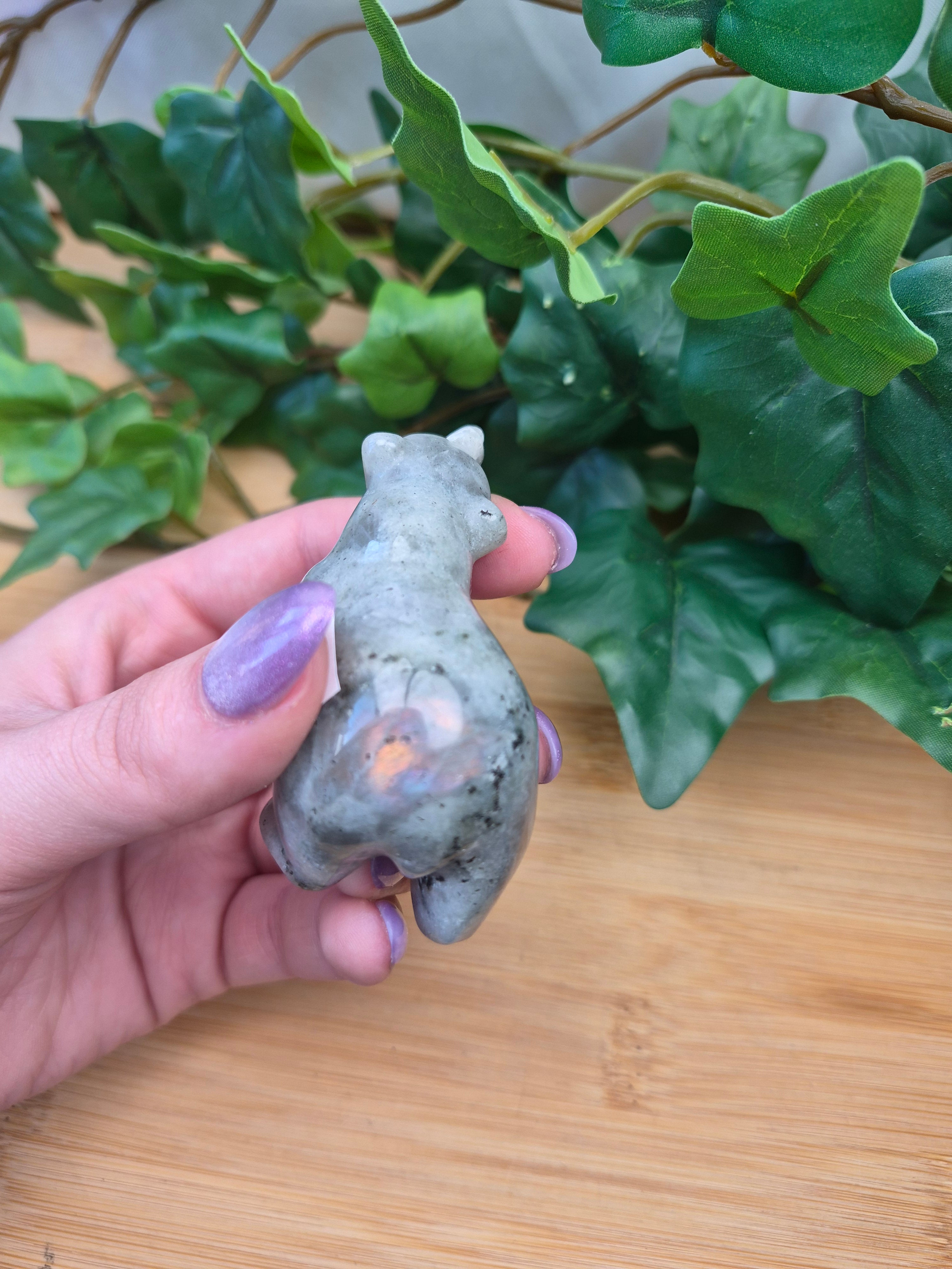 LABRADORITE BEAR