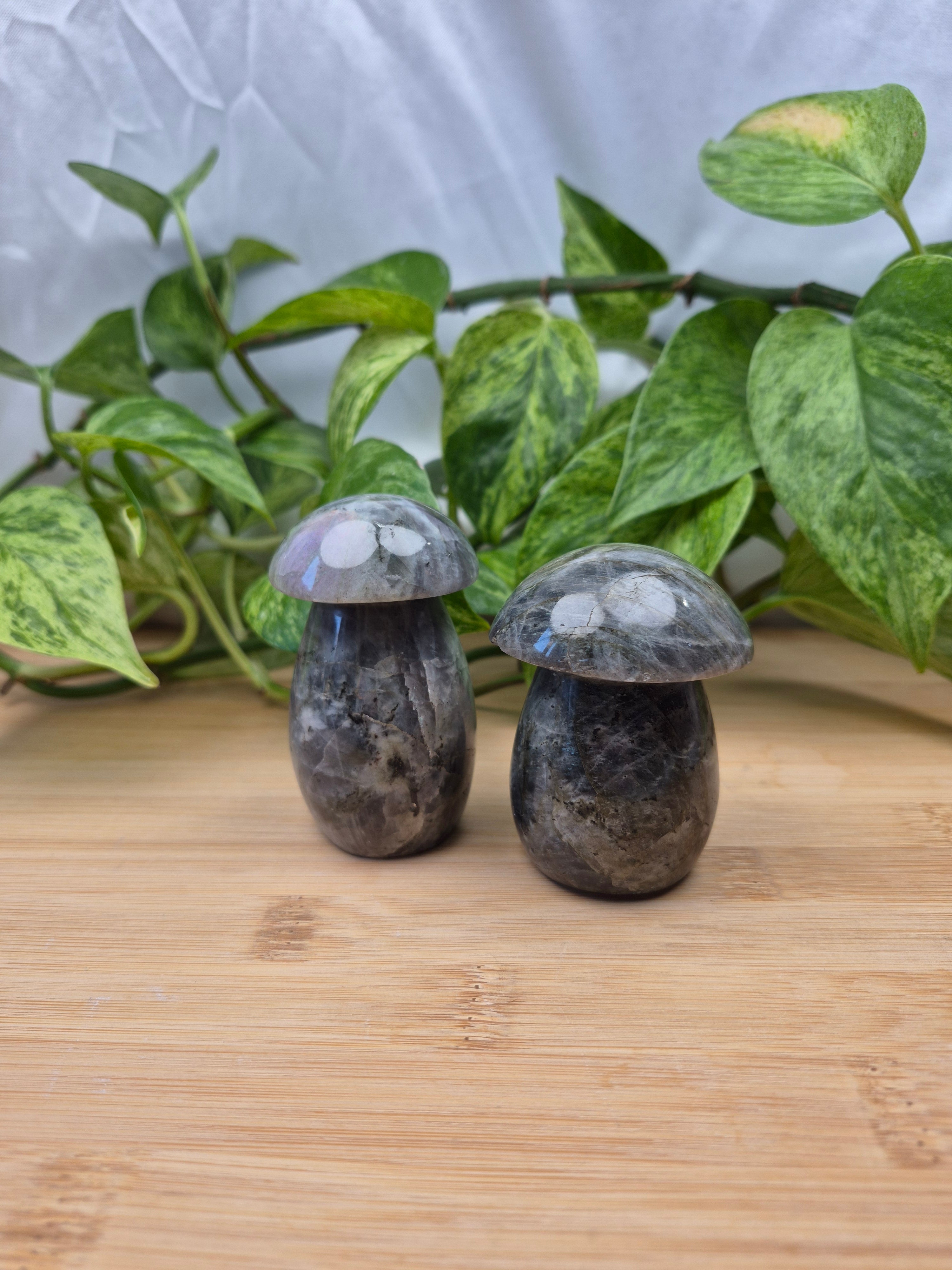 LABRADORITE MUSHROOM