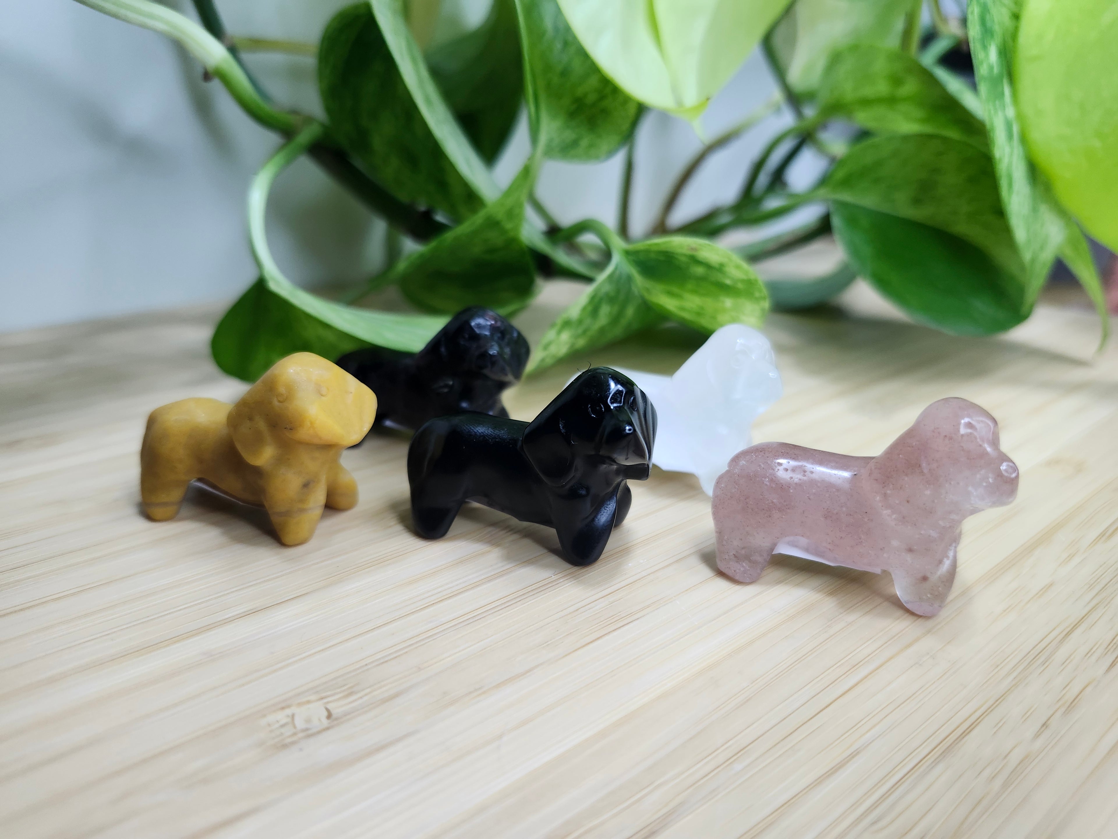 MIXED CRYSTAL WEINER DOG