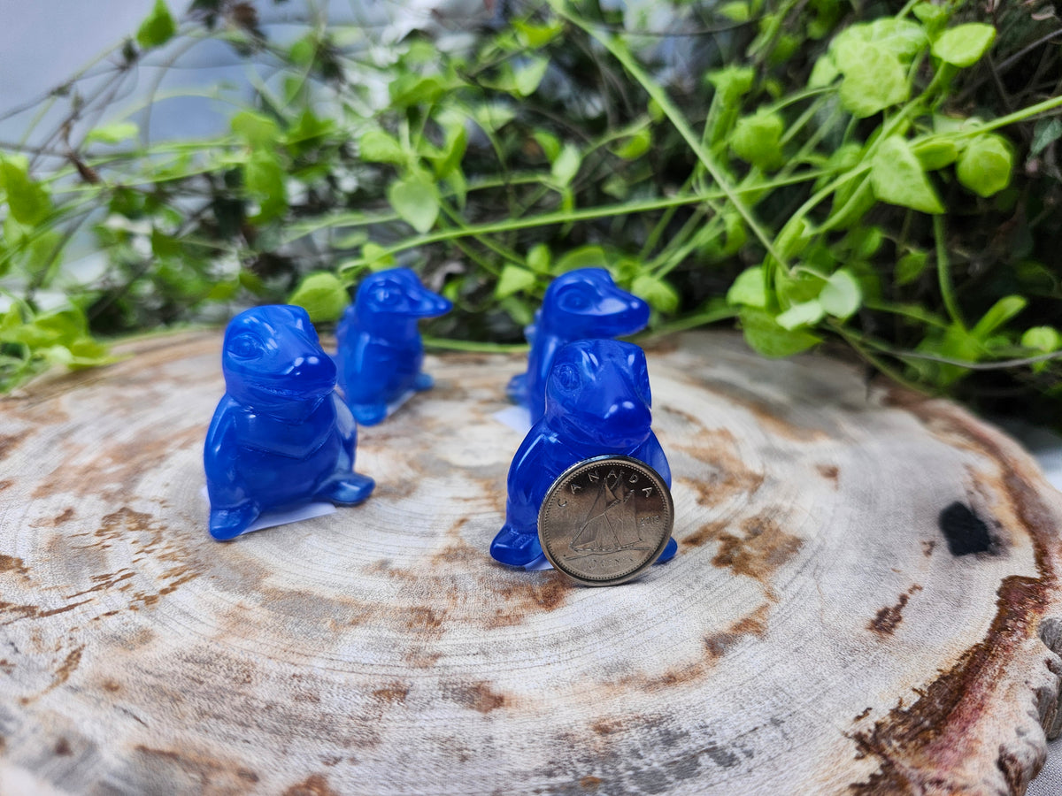 BLUE OPALITE TOTODILE