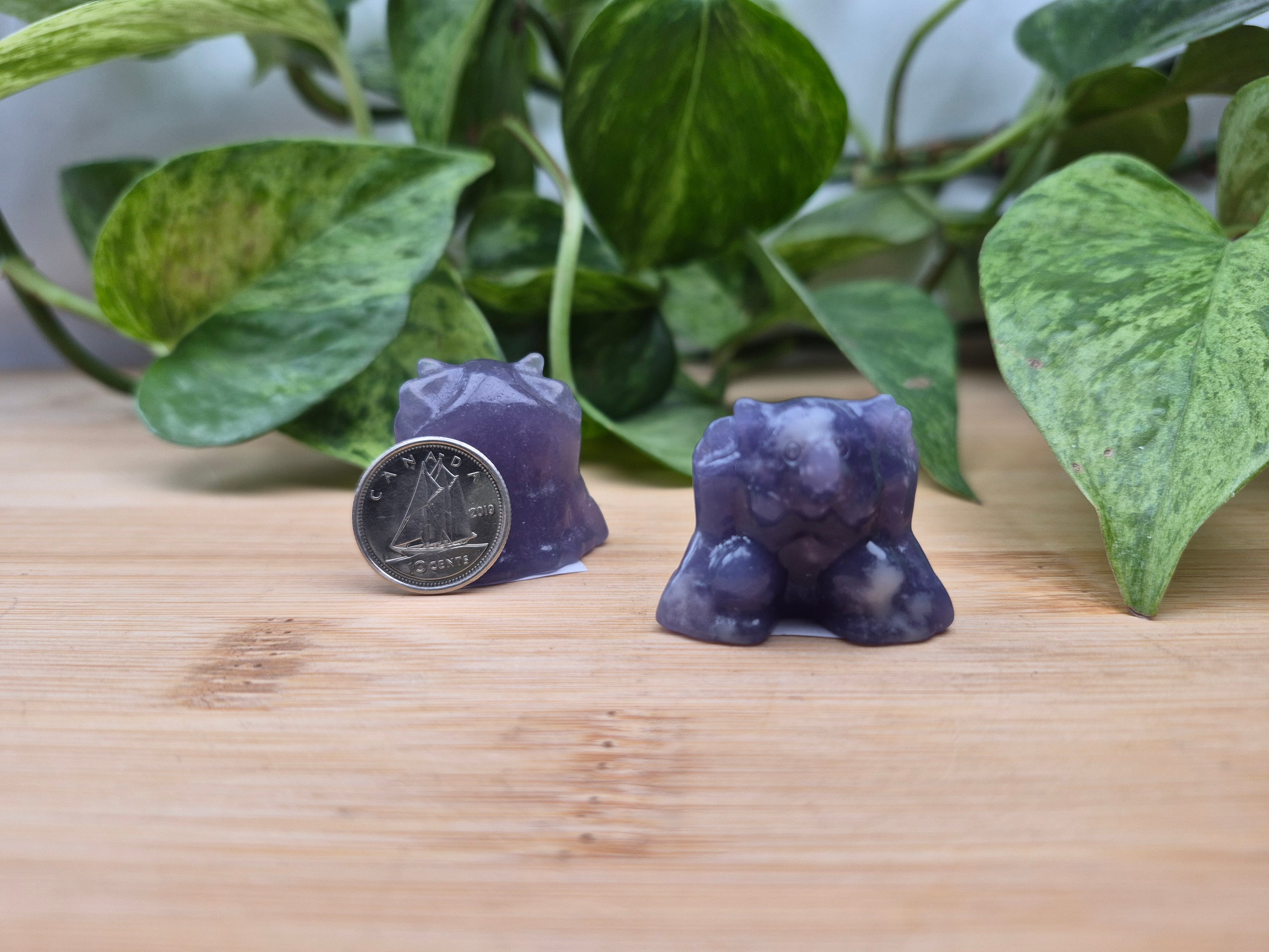 LEPIDOLITE NIDOKING