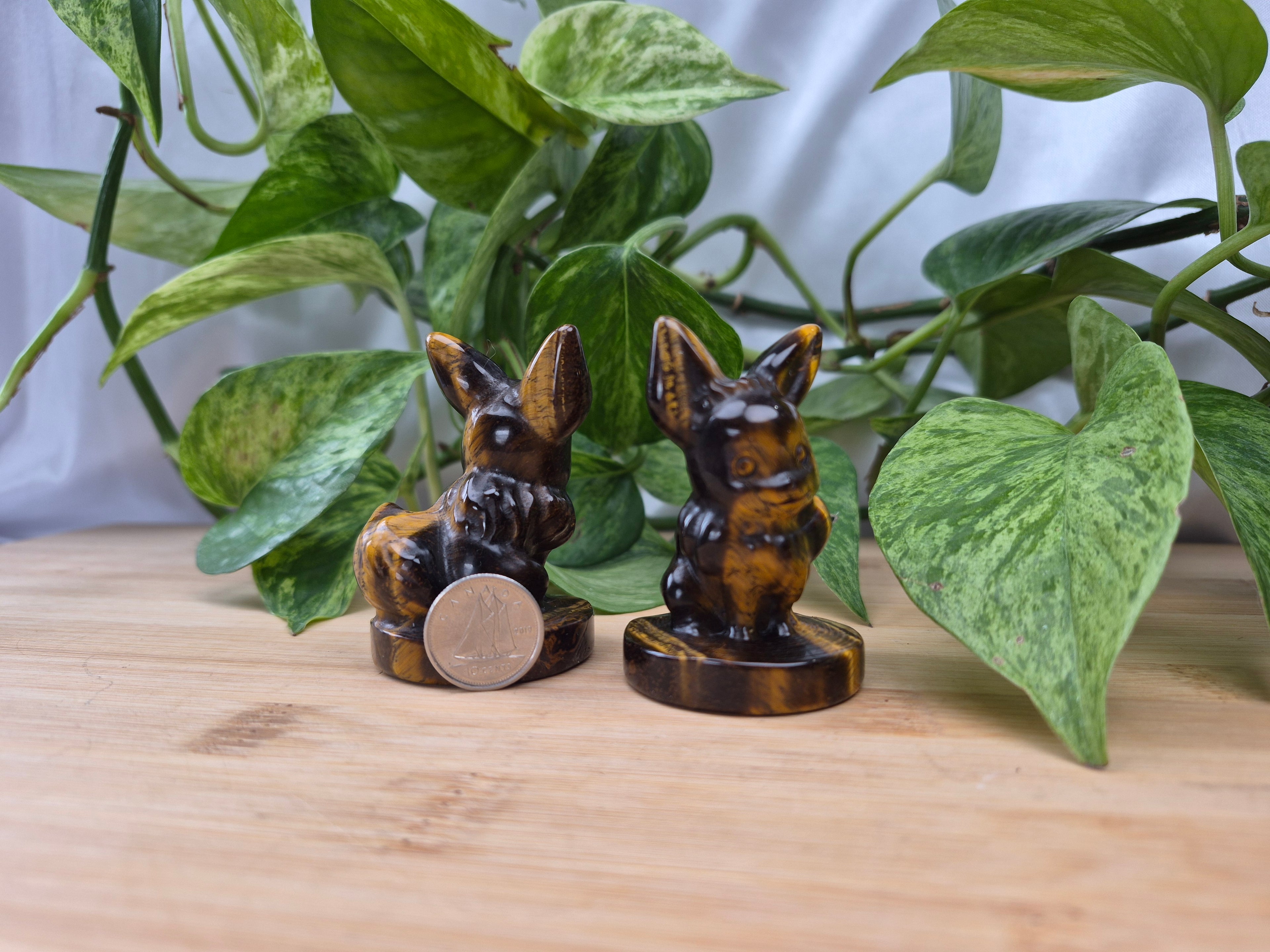 TIGERS EYE EEVEE MD