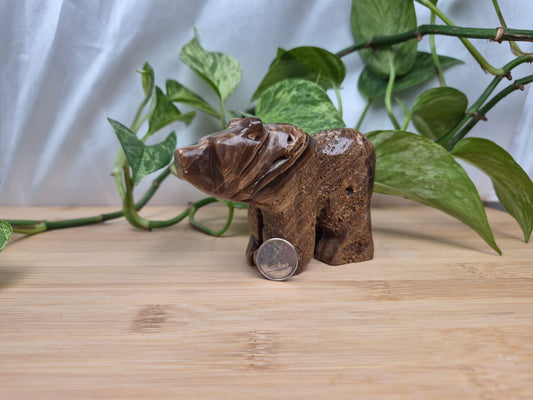 CHOCOLATE CALCITE MD BEAR