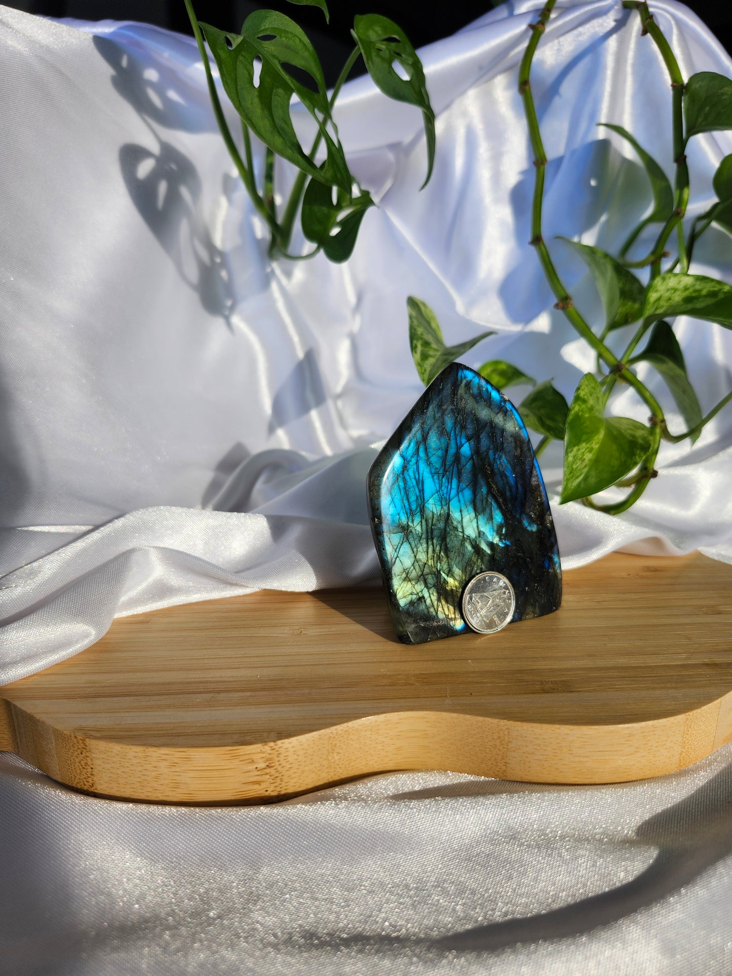 LABRADORITE FREE FORM