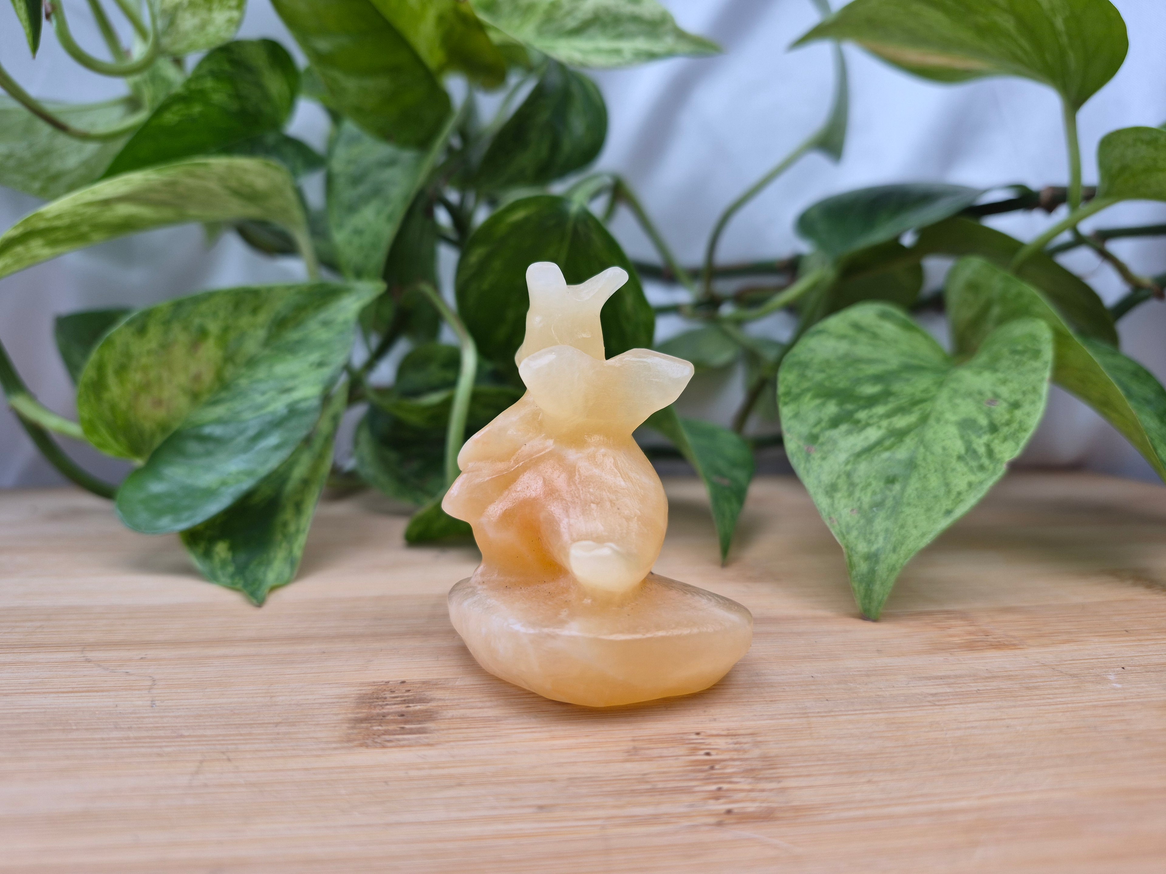 ORANGE CALCITE DRAGONITE MD