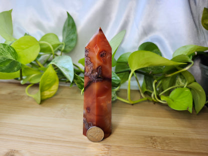 CARNELIAN TOWER