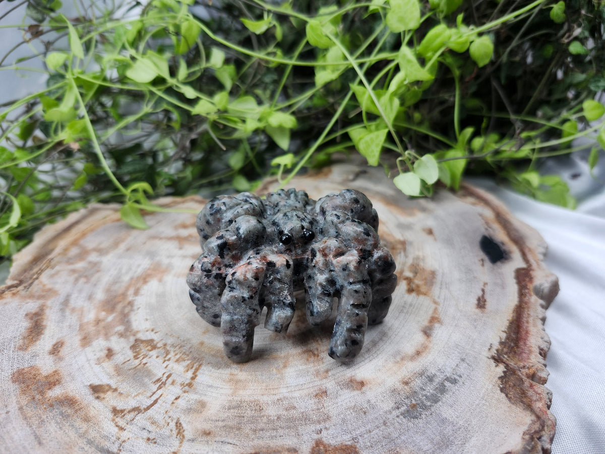 YOOPERLITE SPIDER