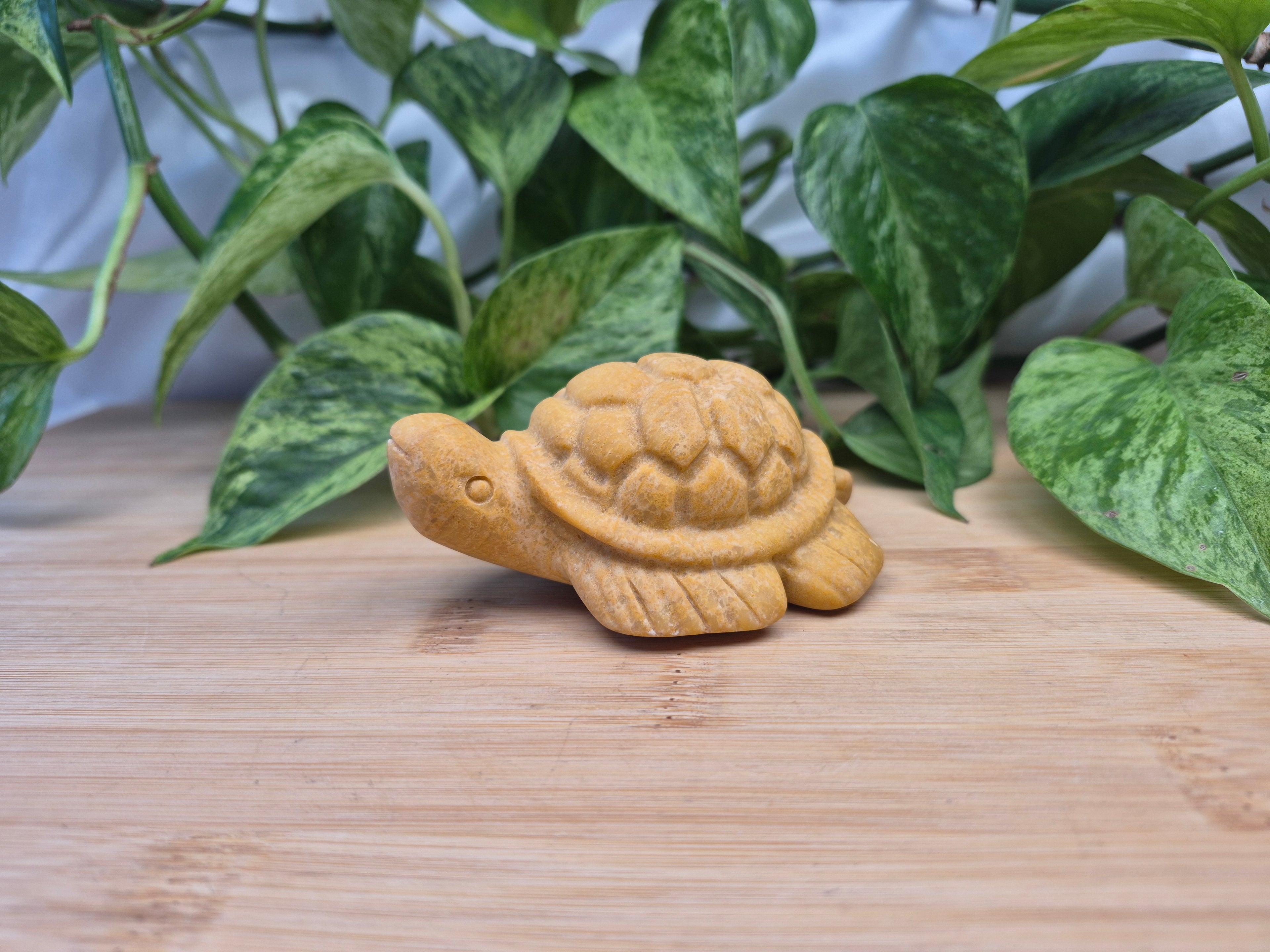 YELLOW JASPER TURTLE