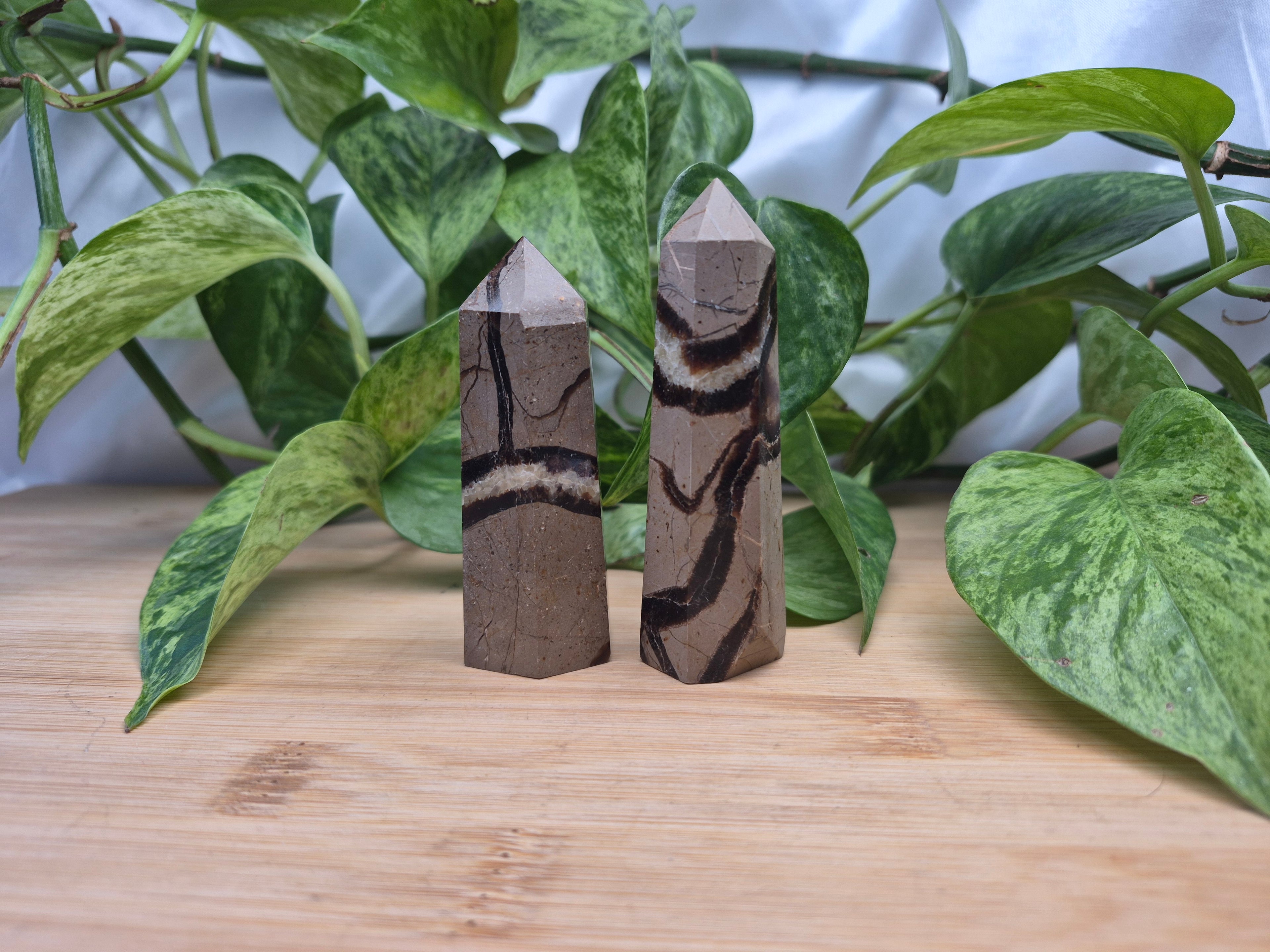 SEPTARIAN TOWER