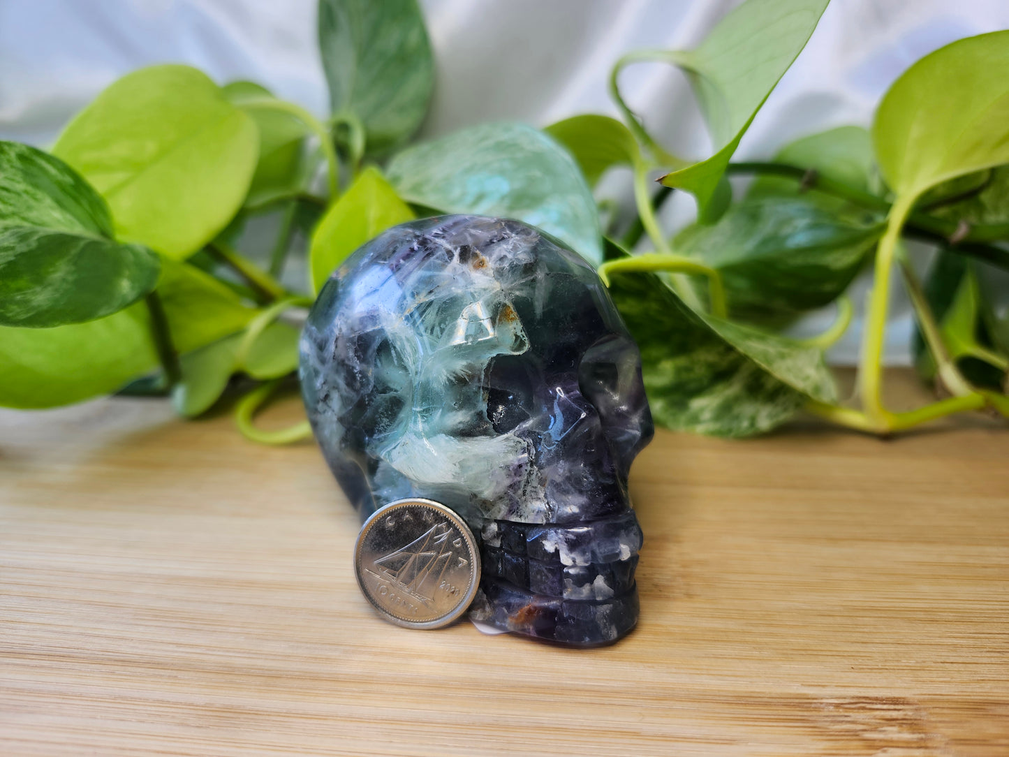 FEATHER FLUORITE SKULL