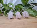 ROSE QUARTZ LICKITUNG LG