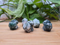 MOSS AGATE BULBASAUR