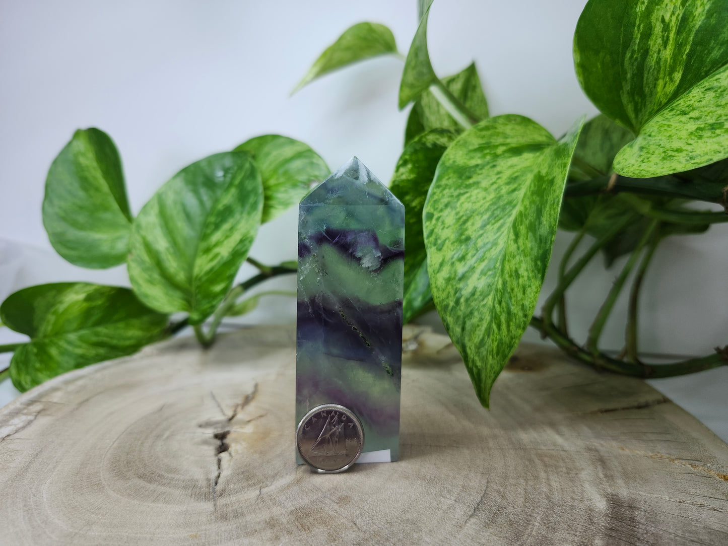 FEATHER FLUORITE TOWER