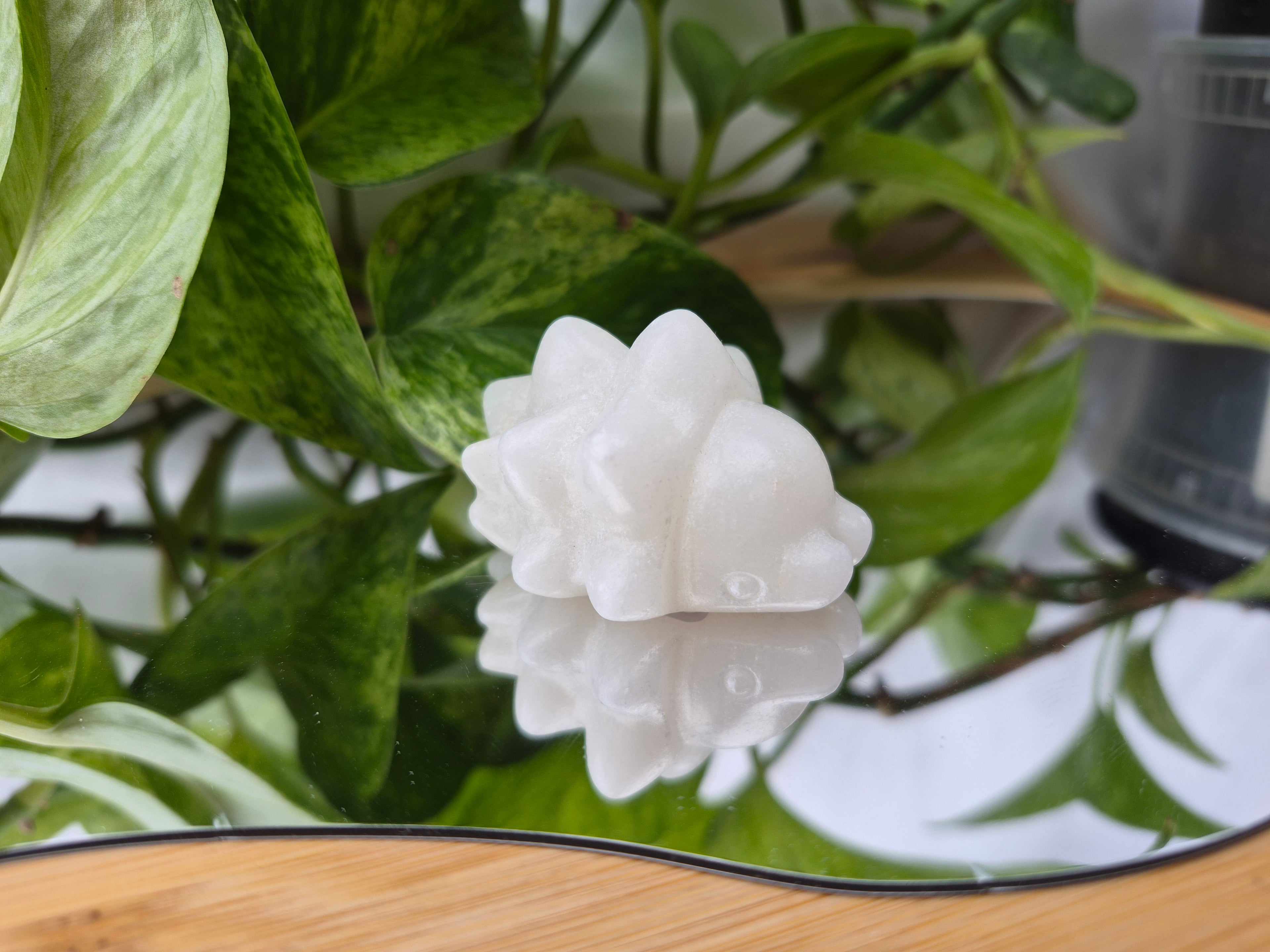 WHITE JADE SNOM