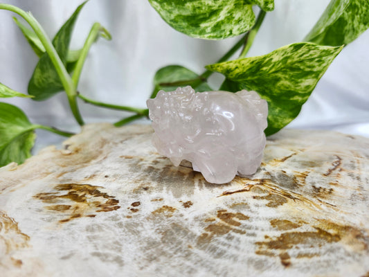 ROSE QUARTZ TURTLE DRAGON