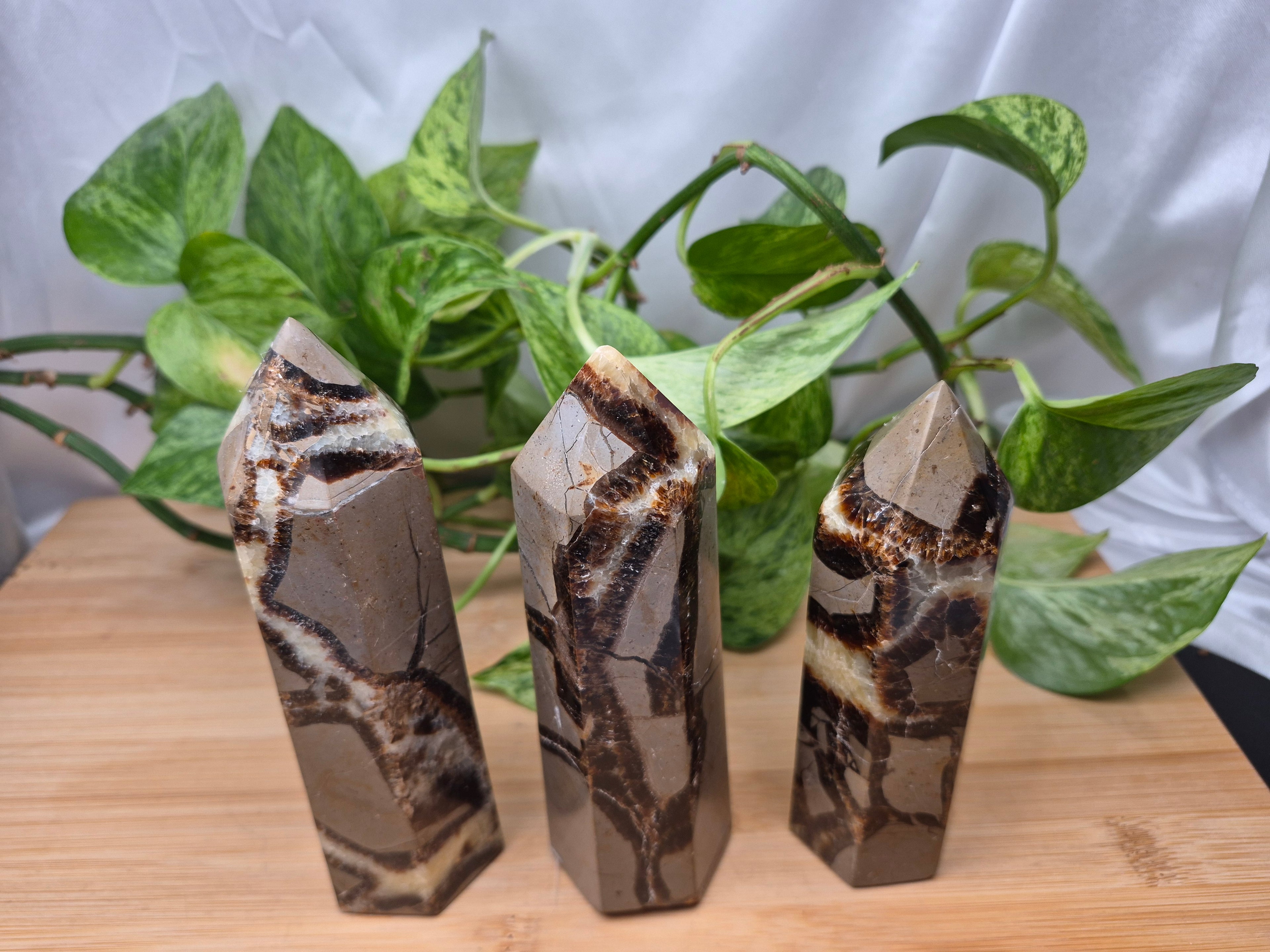 SEPTARIAN TOWER