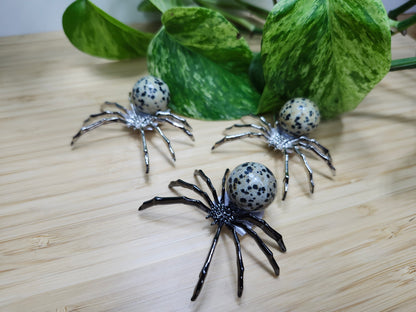 DALMATION JASPER SPIDER