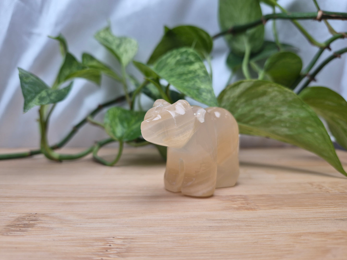 ARAGONITE BEAR