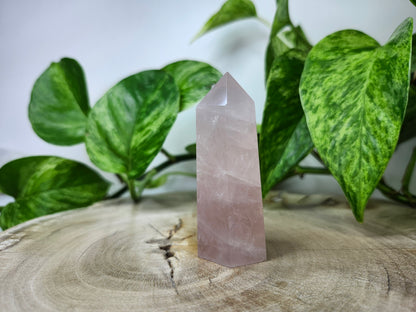 ROSE QUARTZ TOWER