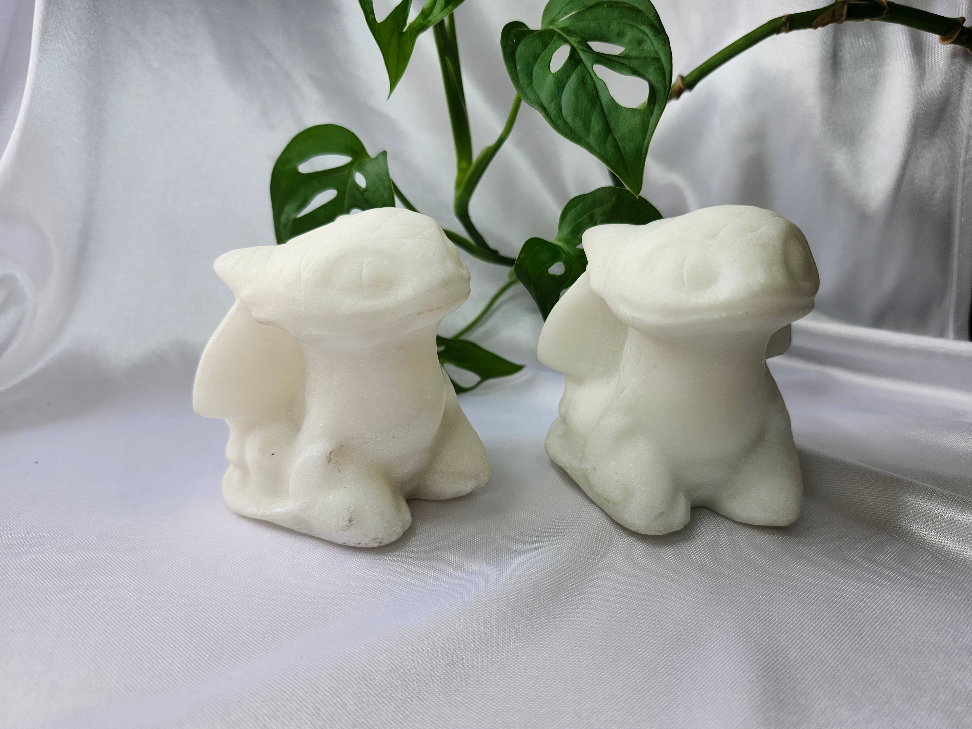 WHITE JADE XL TOOTHLESS