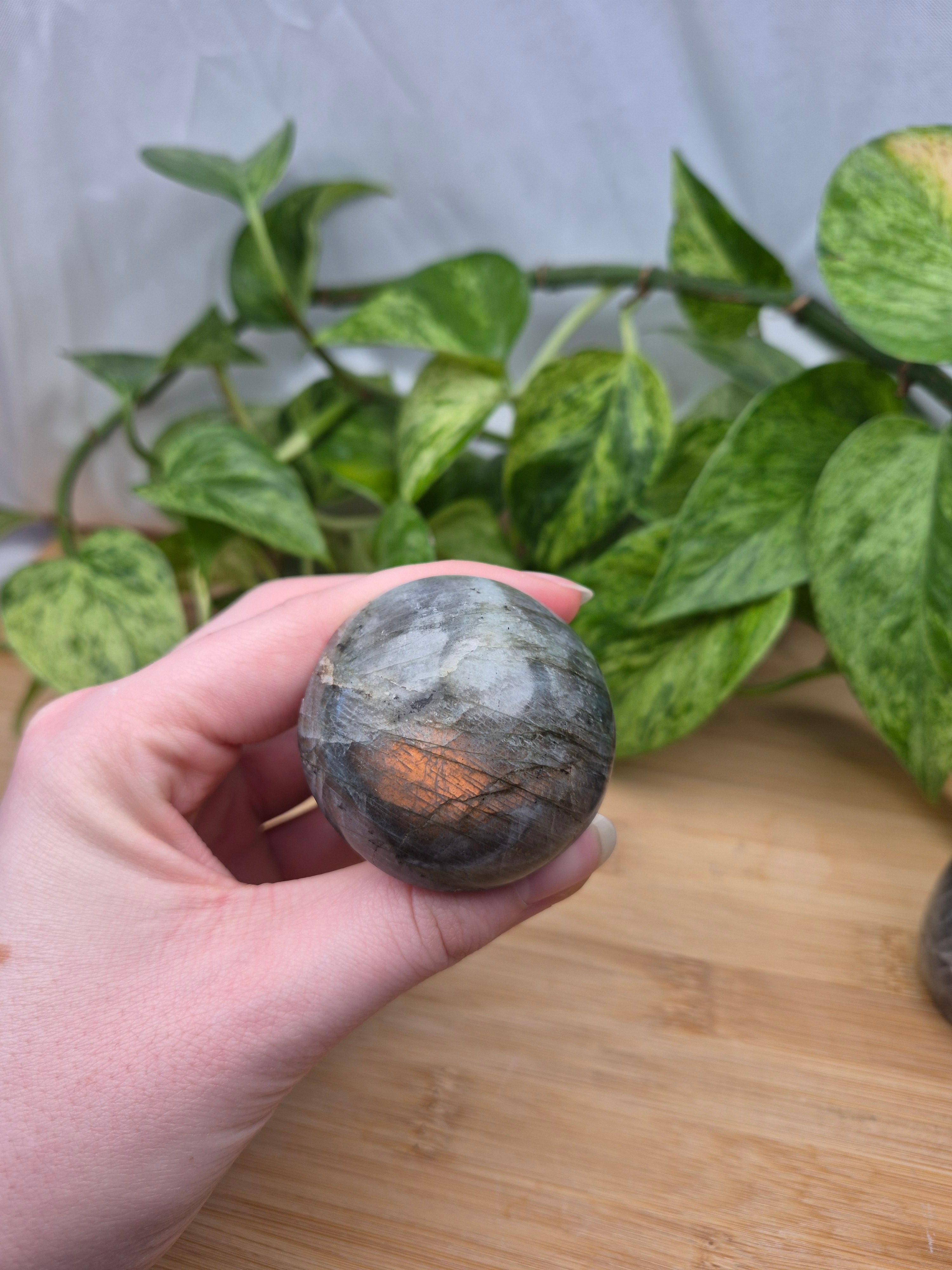 LABRADORITE MUSHROOM