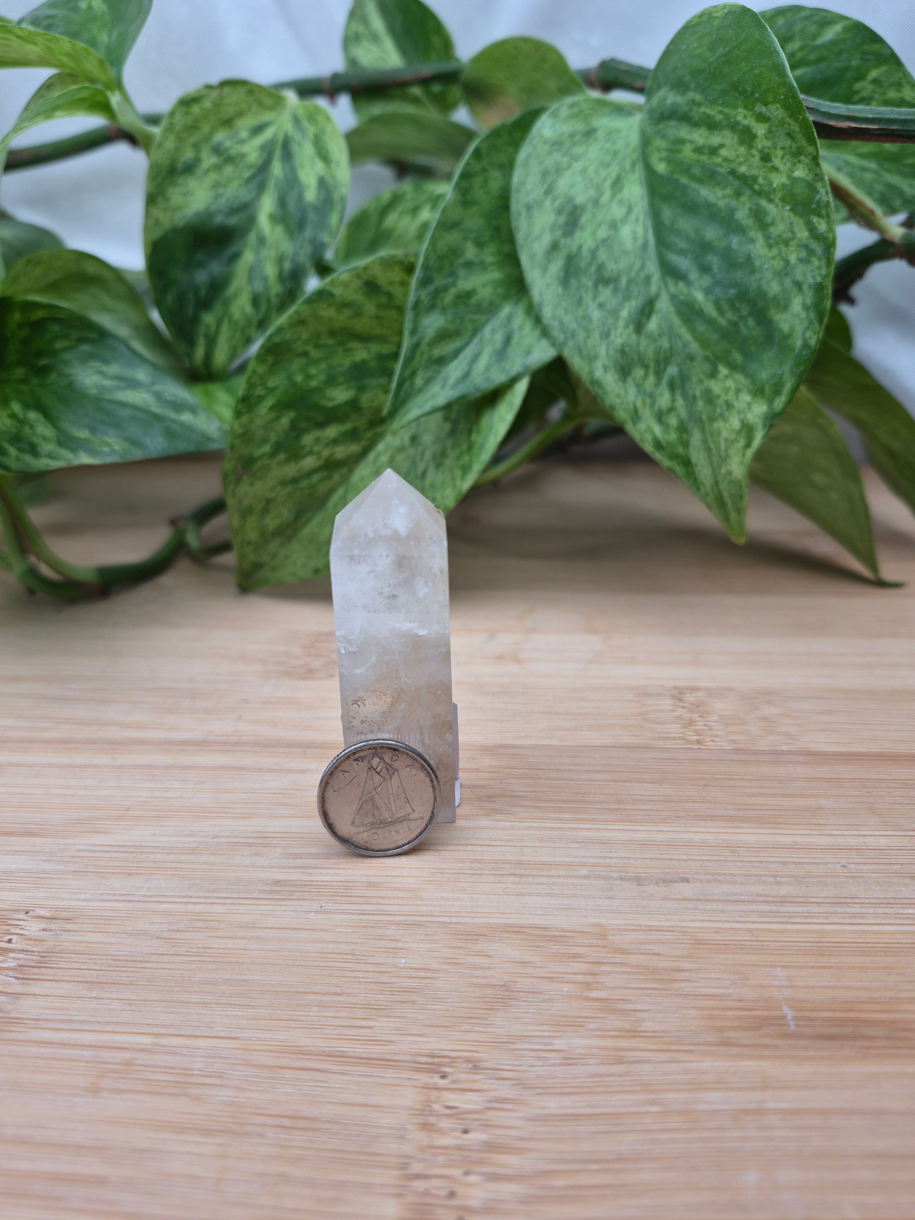 DENDRITES IN QUARTZ TOWER